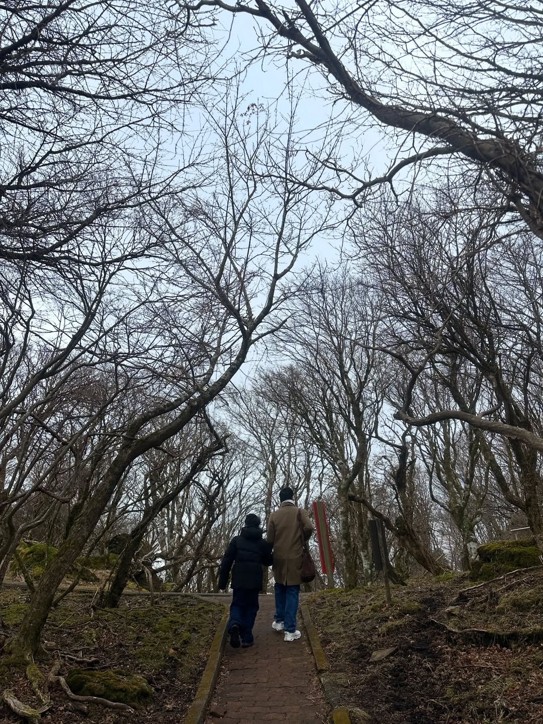 โอปอล์ - ปาณิสรา อารยะสกุล