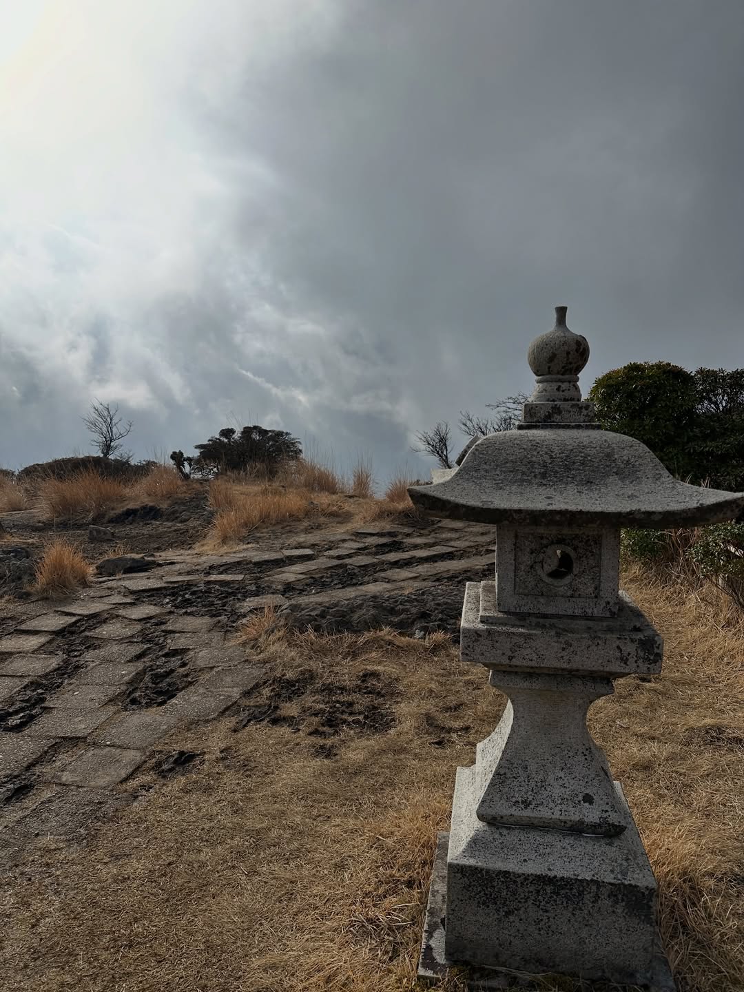 โอปอล์ - ปาณิสรา อารยะสกุล