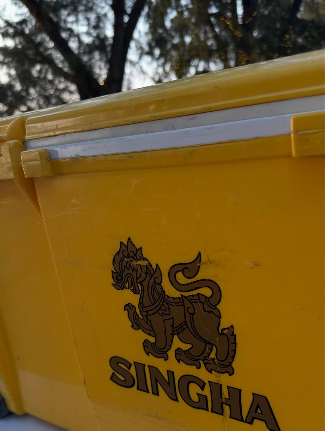 โอปอล์ - ปาณิสรา อารยะสกุล