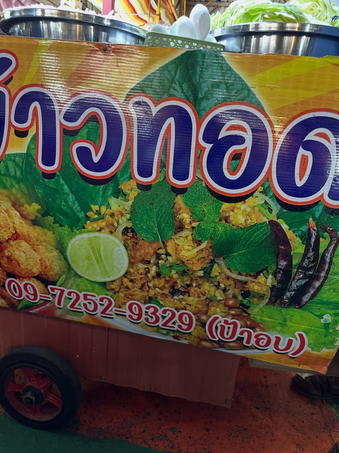 โอปอล์ - ปาณิสรา อารยะสกุล