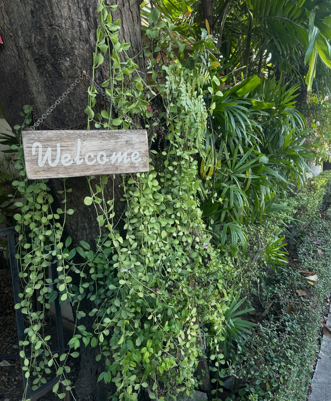 โอปอล์ - ปาณิสรา อารยะสกุล