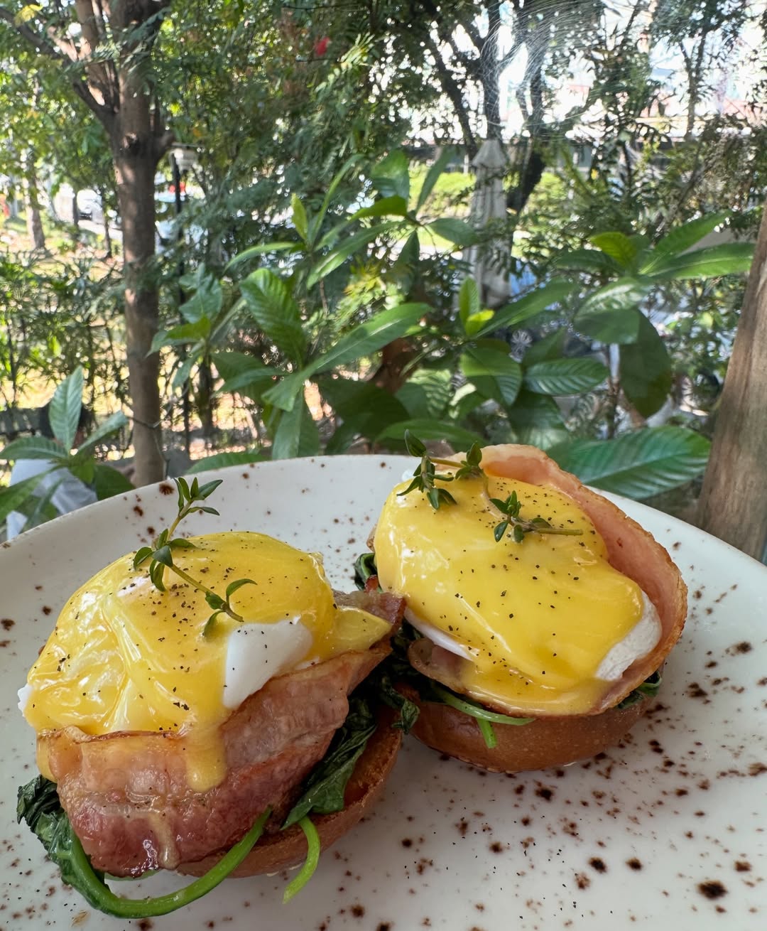 โอปอล์ - ปาณิสรา อารยะสกุล