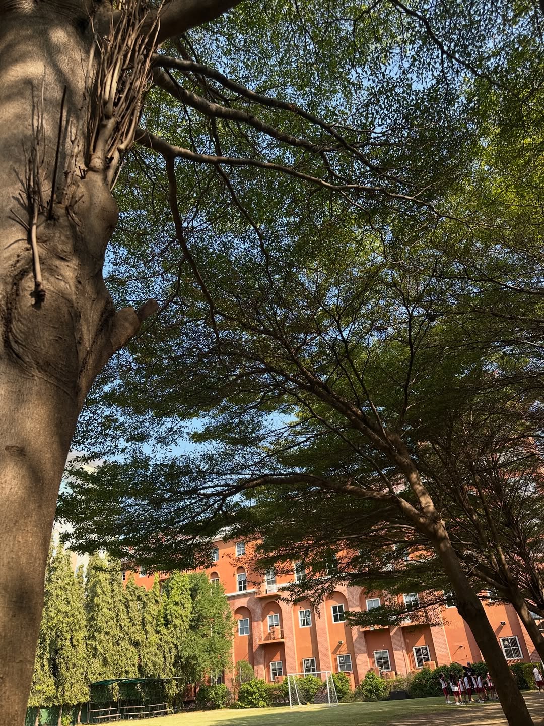 โอปอล์ - ปาณิสรา อารยะสกุล