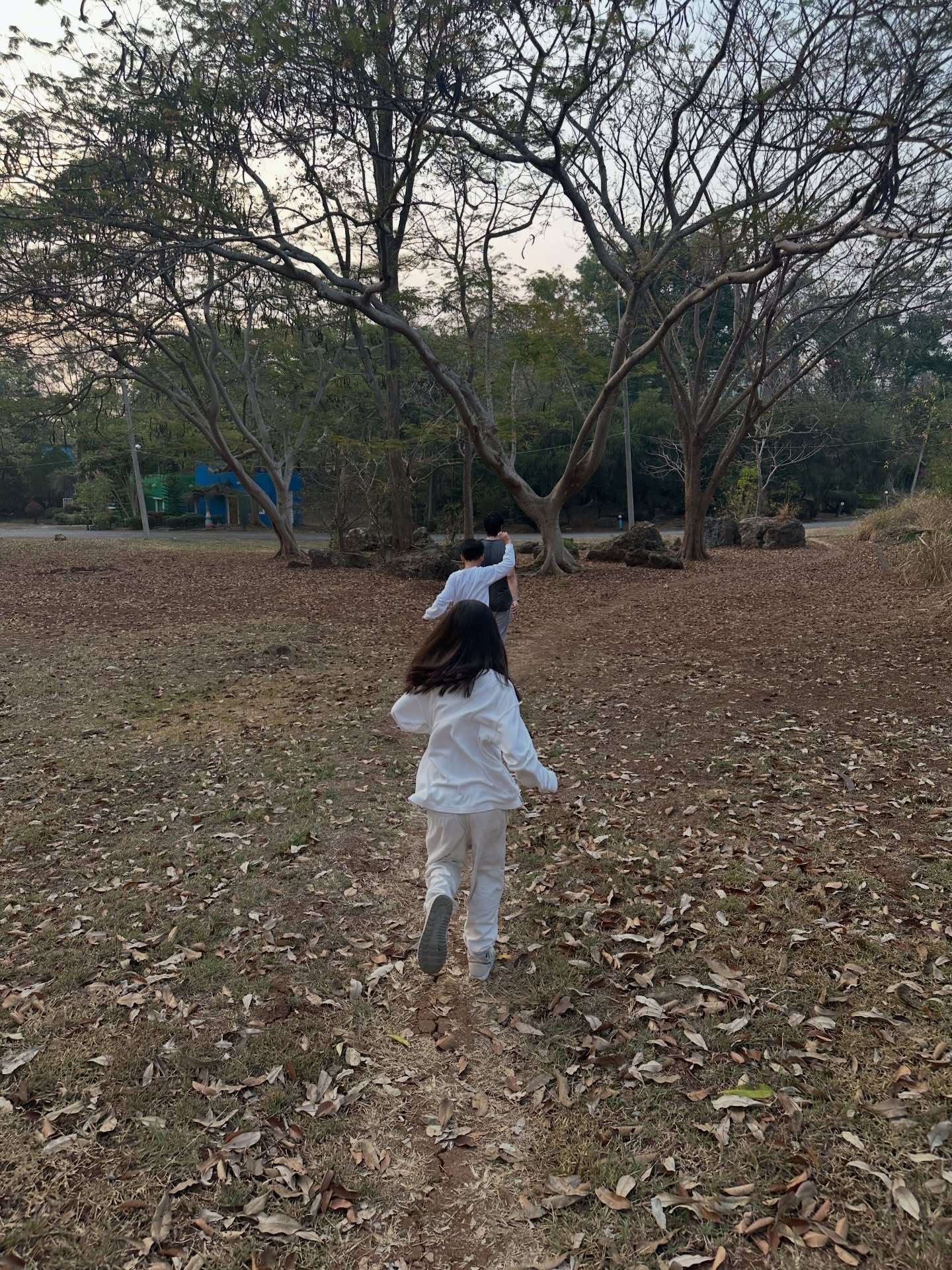 โอปอล์ - ปาณิสรา อารยะสกุล