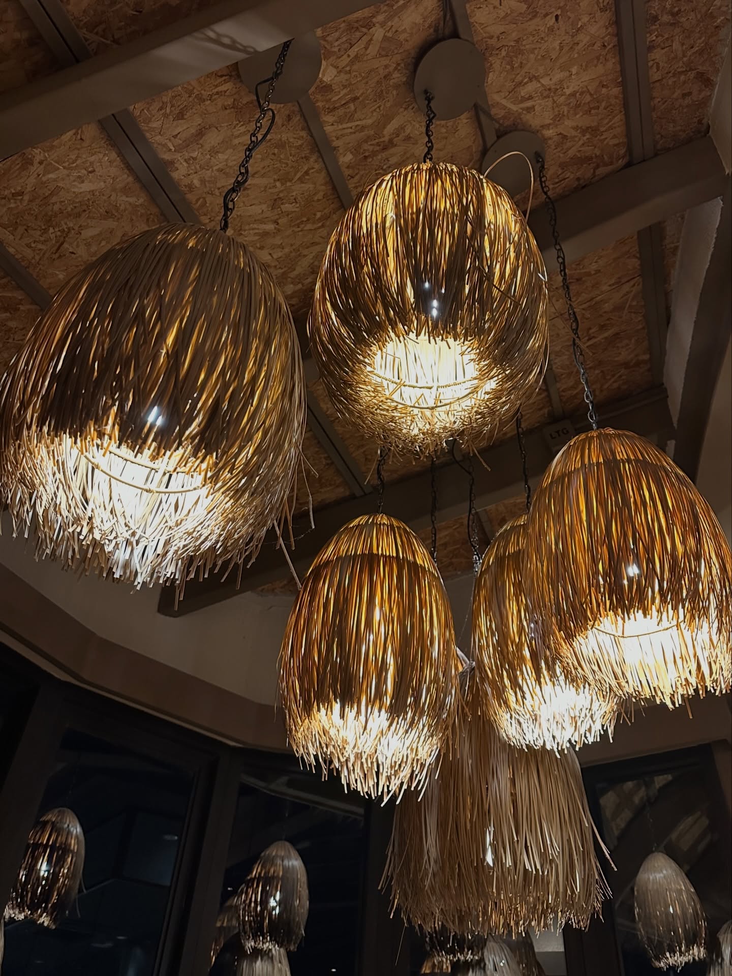 โอปอล์ - ปาณิสรา อารยะสกุล