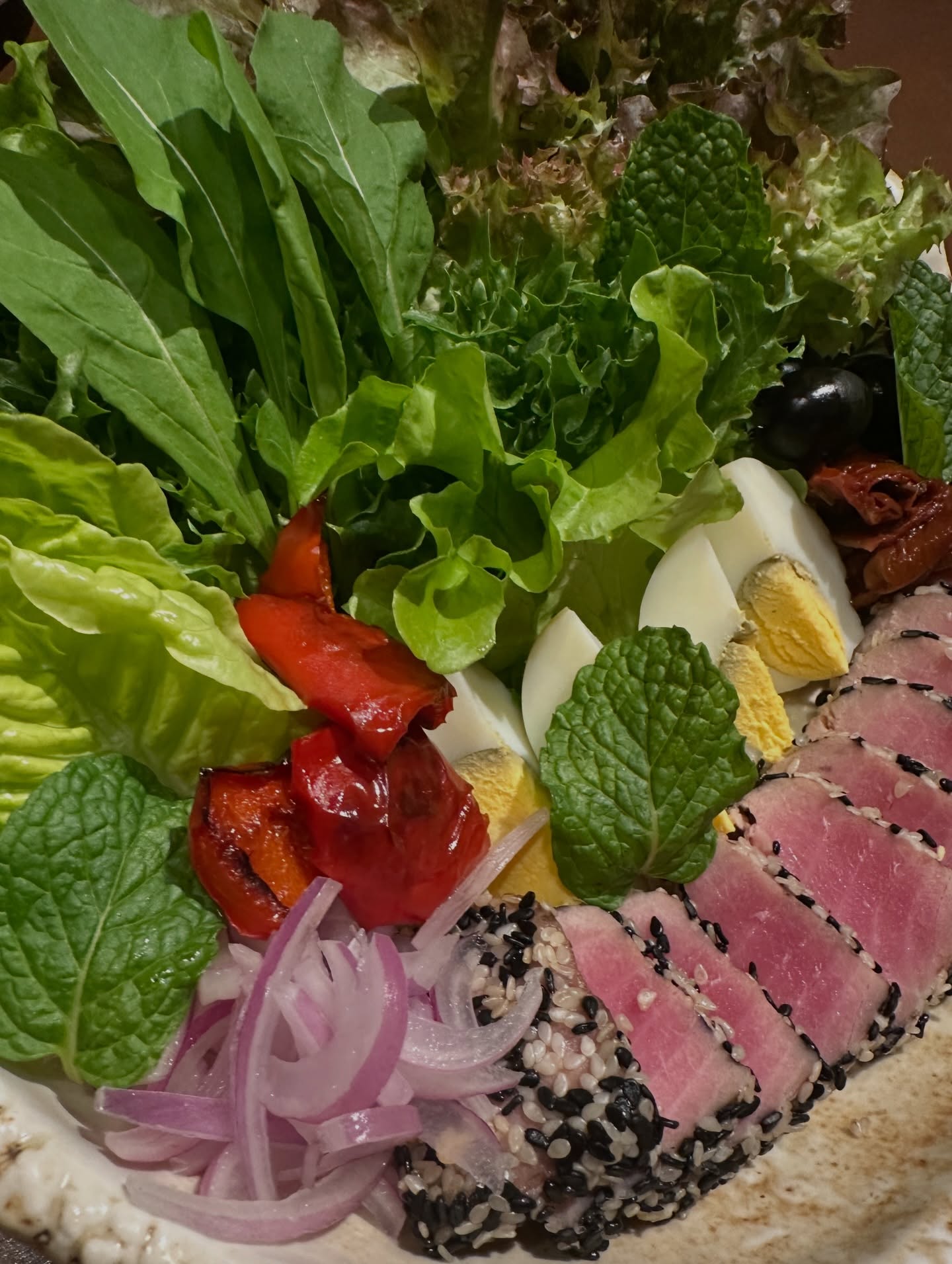 โอปอล์ - ปาณิสรา อารยะสกุล