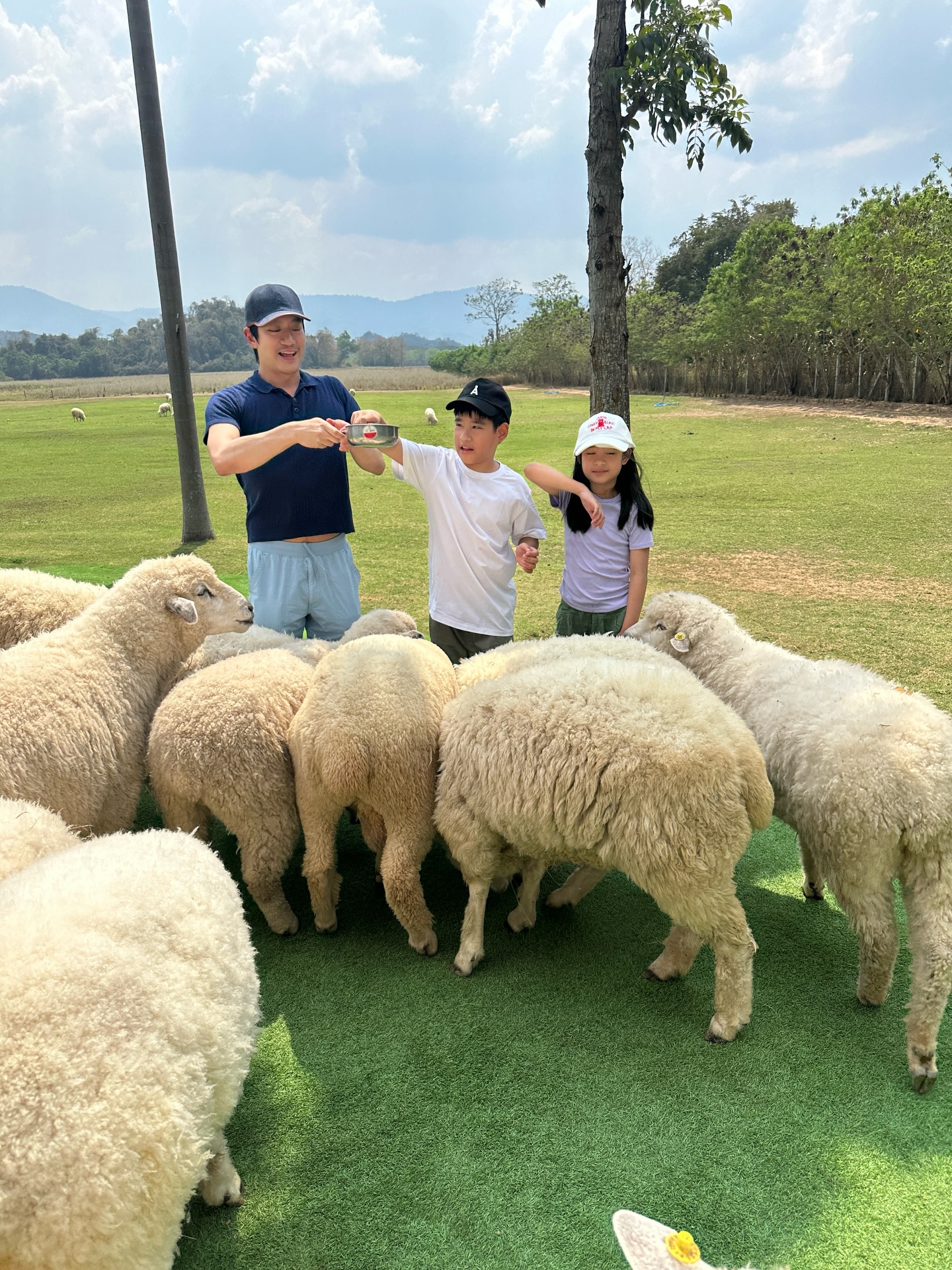 โอปอล์ - ปาณิสรา อารยะสกุล