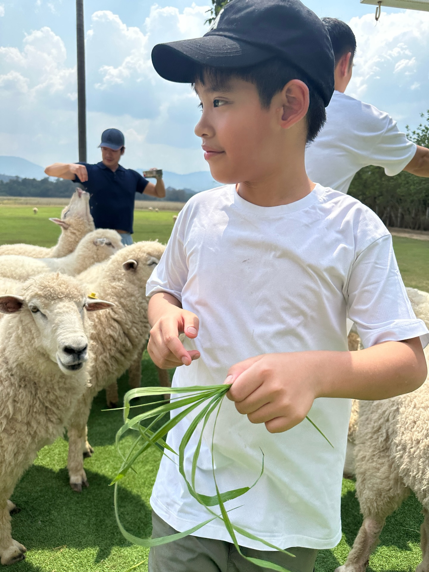 โอปอล์ - ปาณิสรา อารยะสกุล