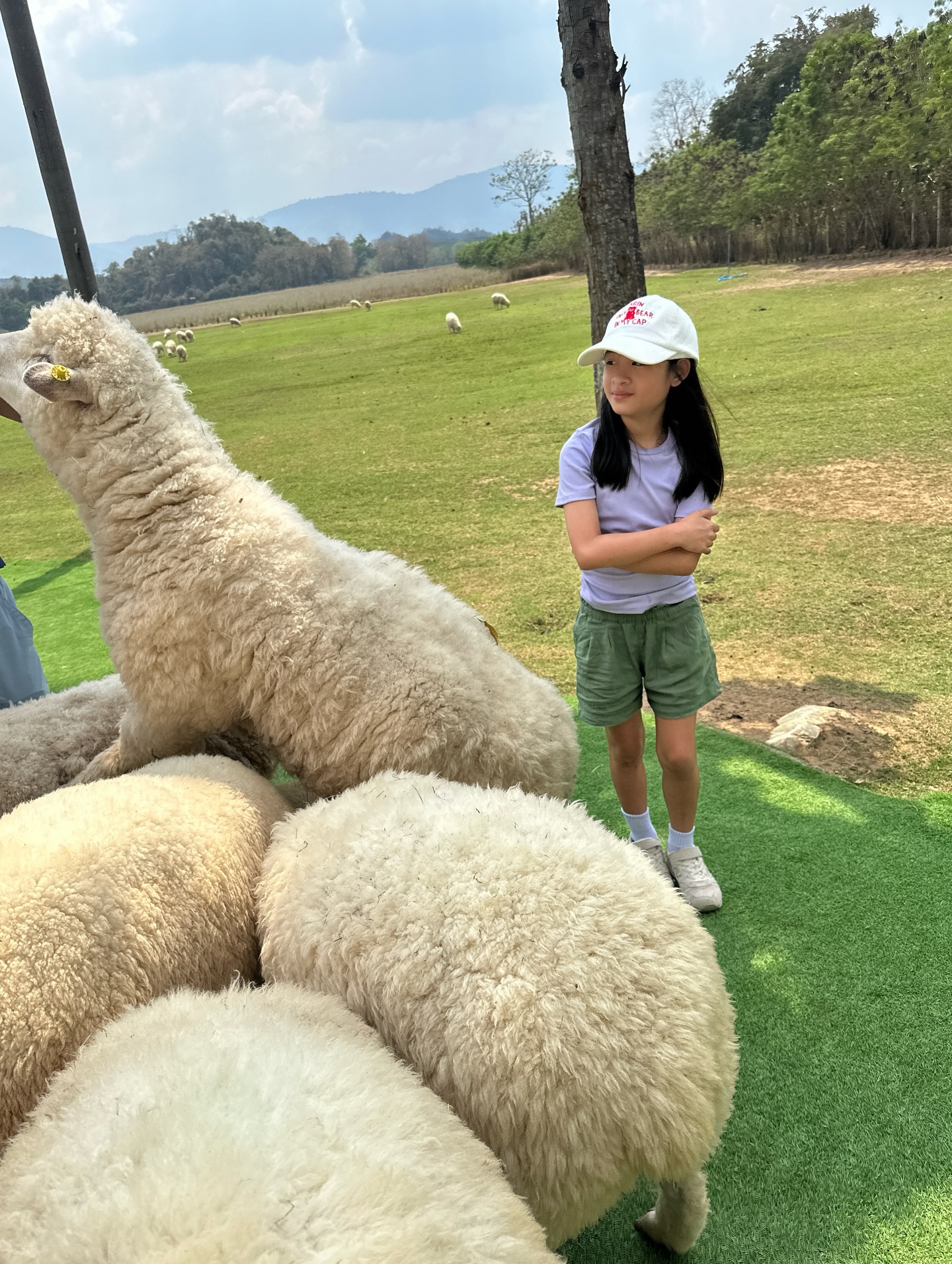 โอปอล์ - ปาณิสรา อารยะสกุล