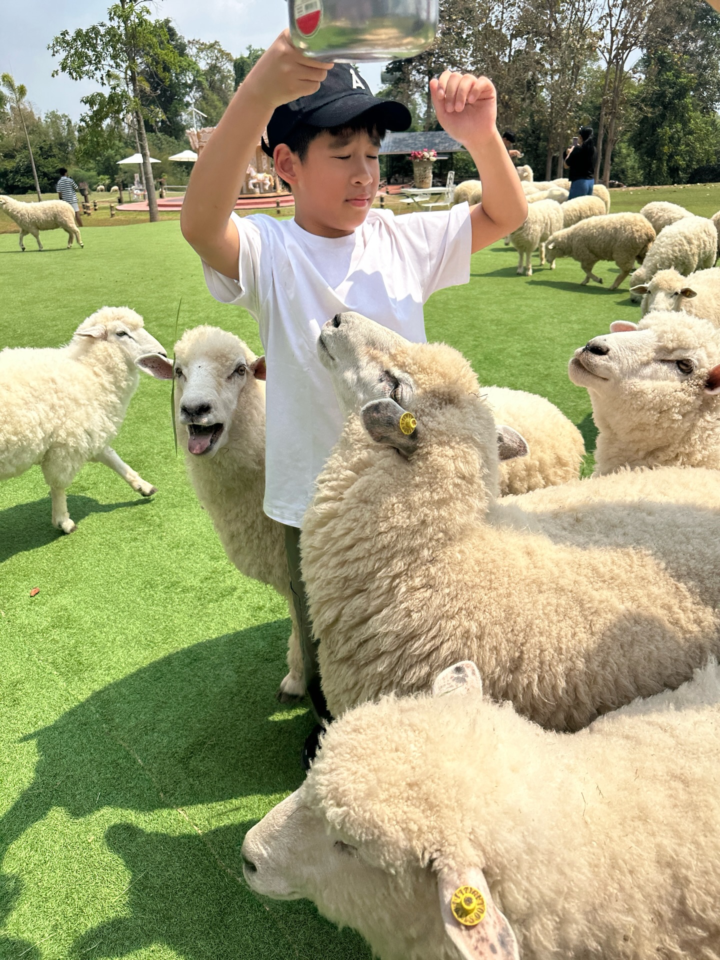 โอปอล์ - ปาณิสรา อารยะสกุล