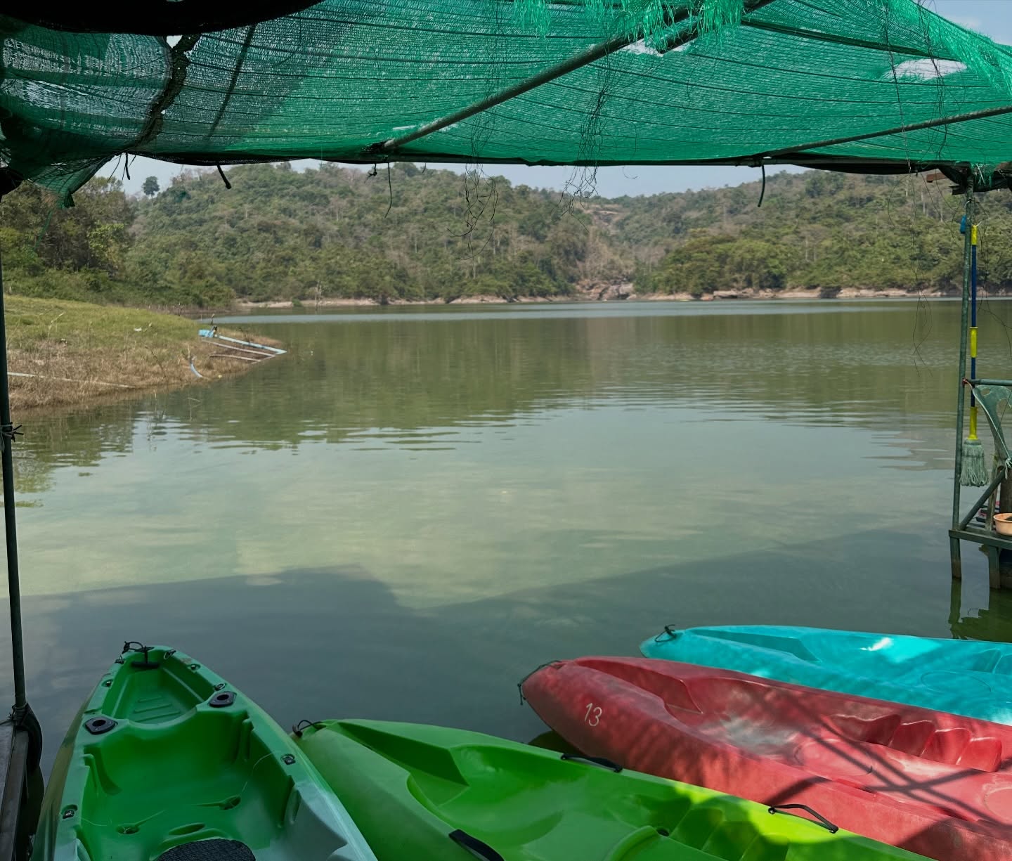 โอปอล์ - ปาณิสรา อารยะสกุล