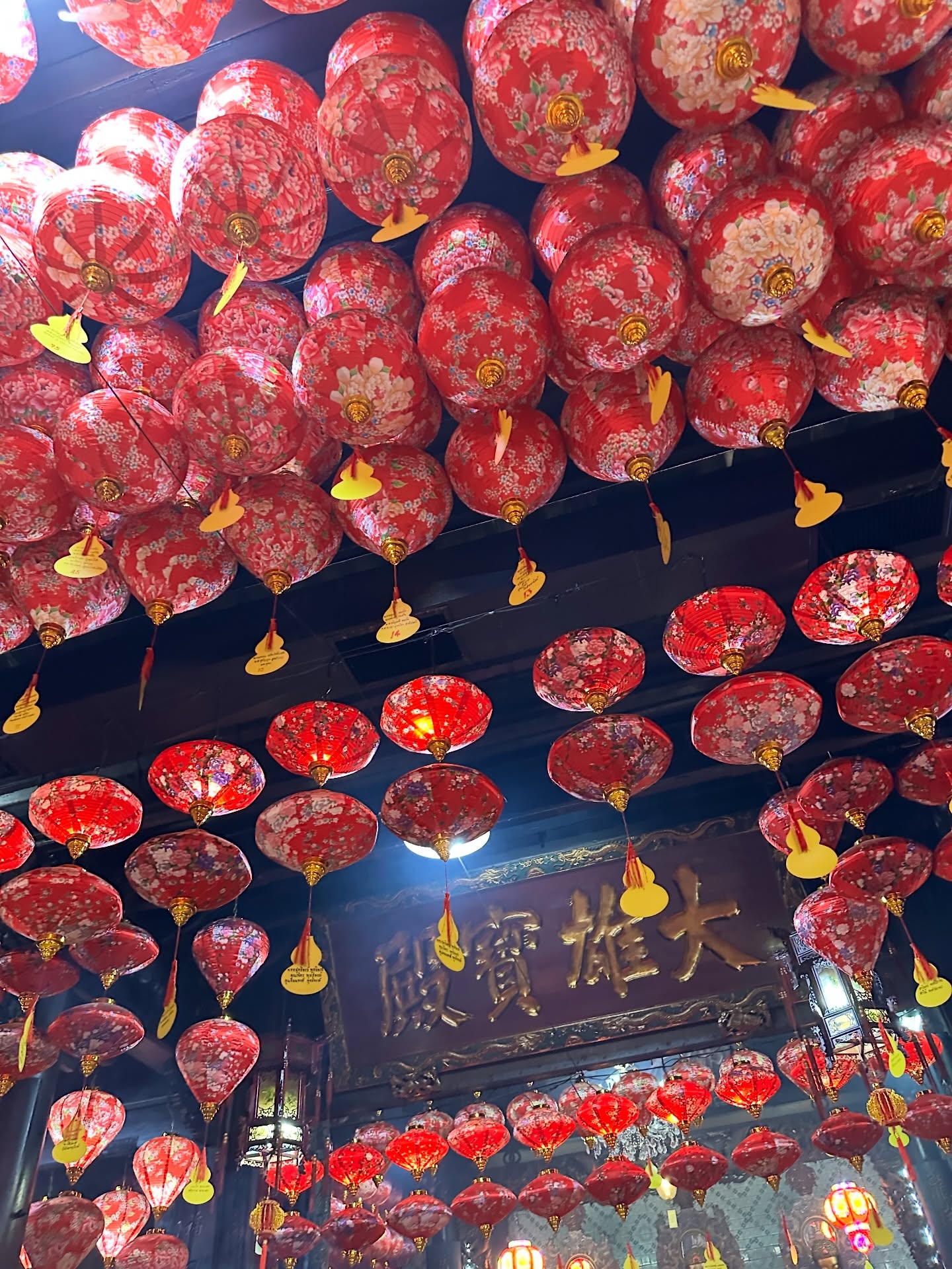 โอปอล์ - ปาณิสรา อารยะสกุล