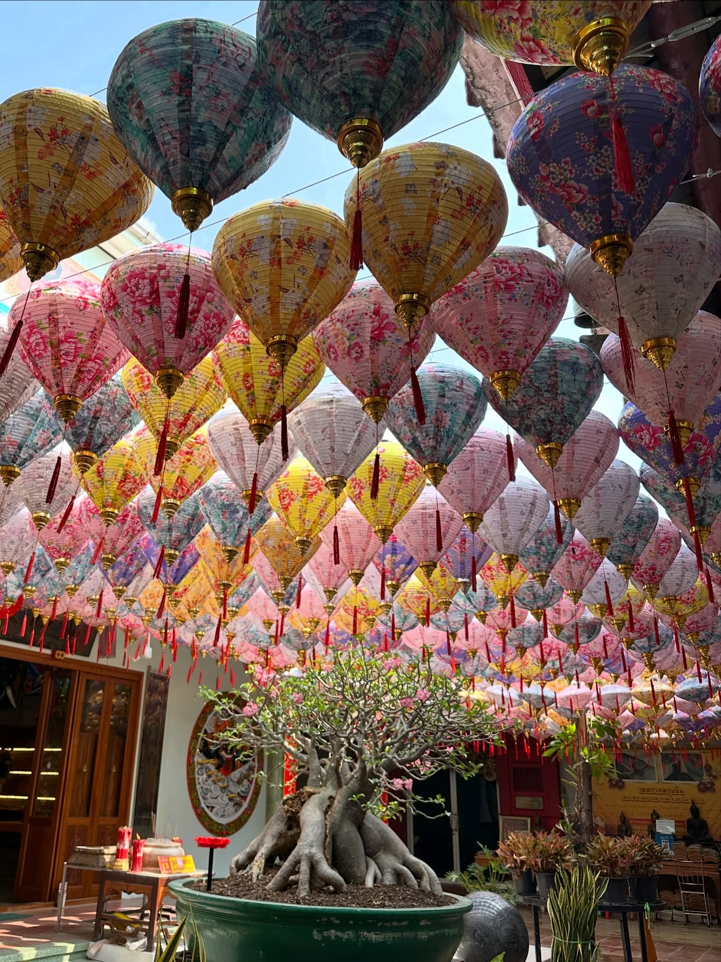 โอปอล์ - ปาณิสรา อารยะสกุล