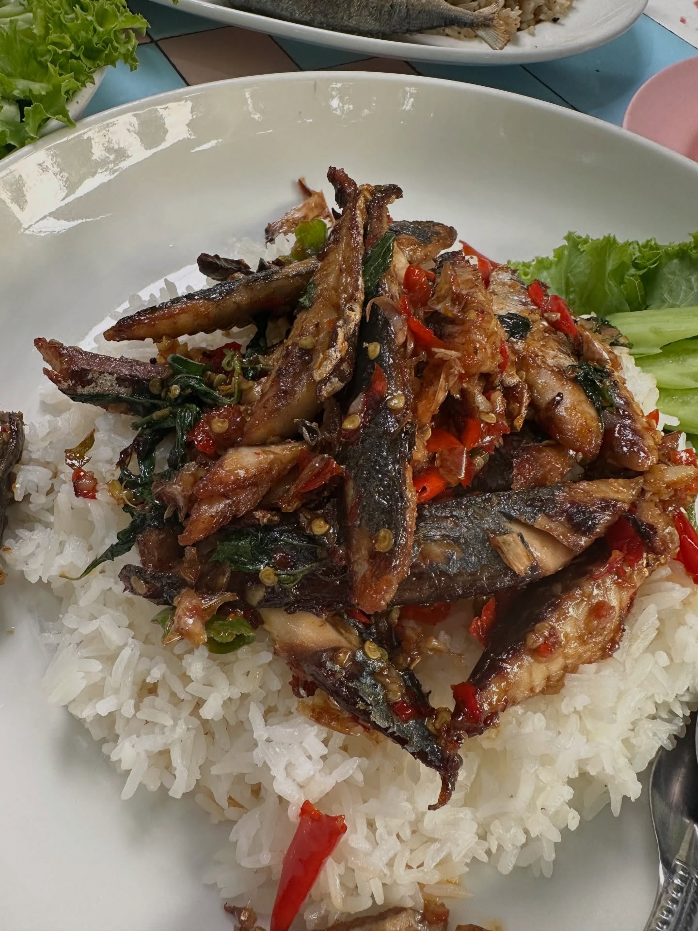 โอปอล์ - ปาณิสรา อารยะสกุล