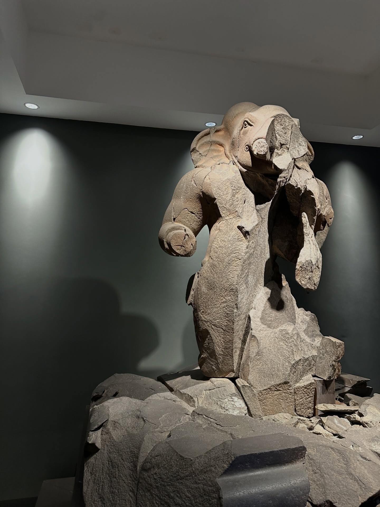 โอปอล์ - ปาณิสรา อารยะสกุล