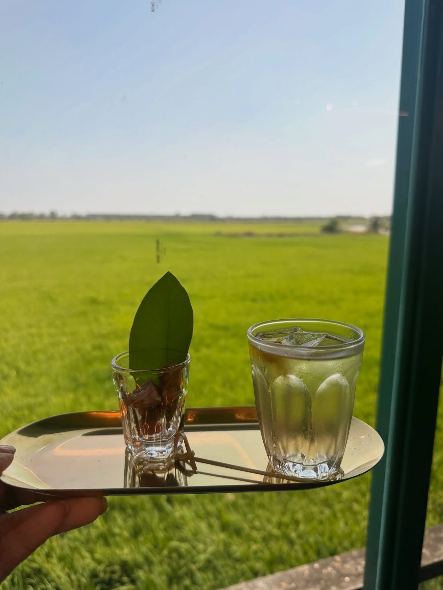 โอปอล์ - ปาณิสรา อารยะสกุล