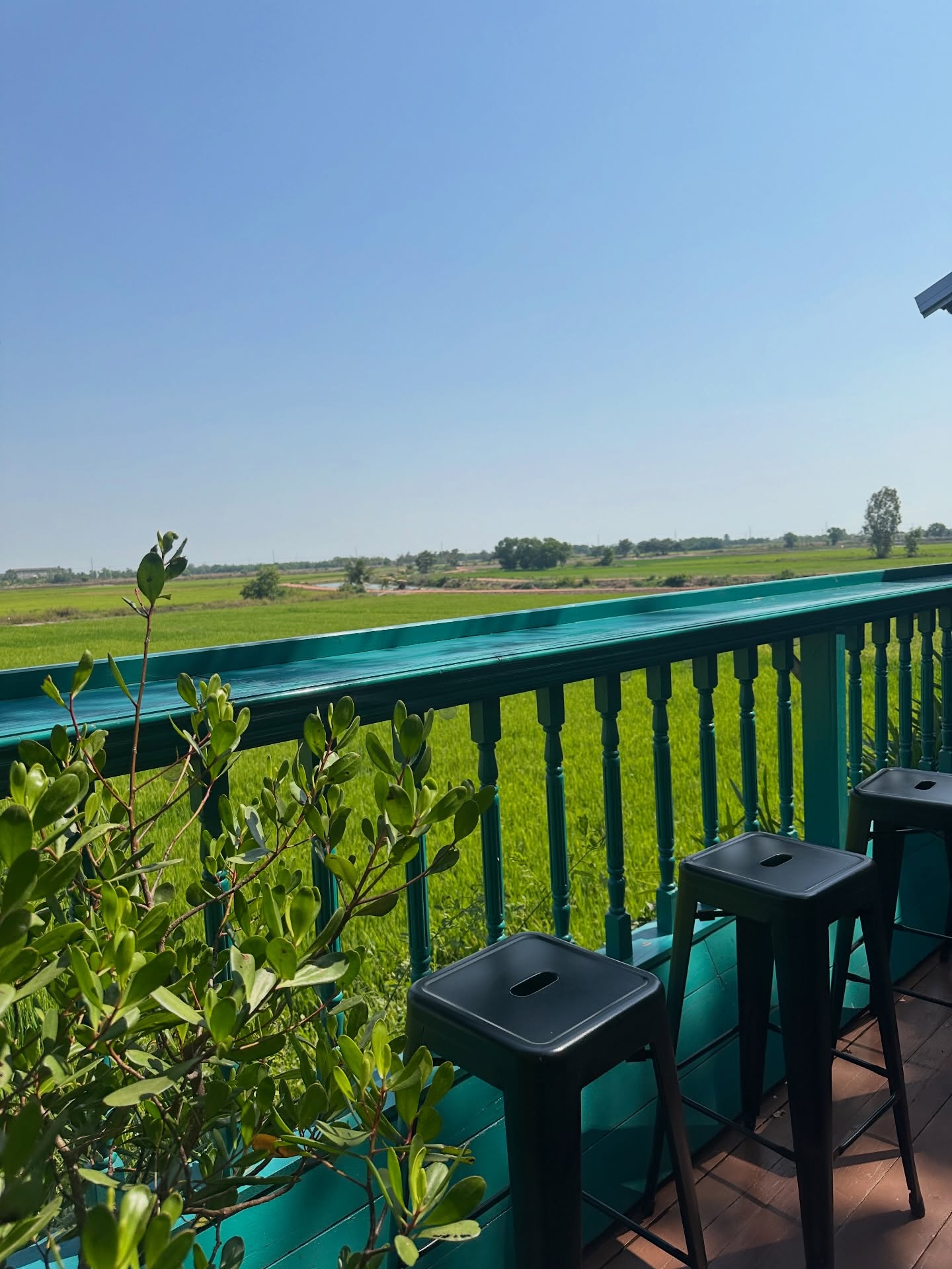 โอปอล์ - ปาณิสรา อารยะสกุล