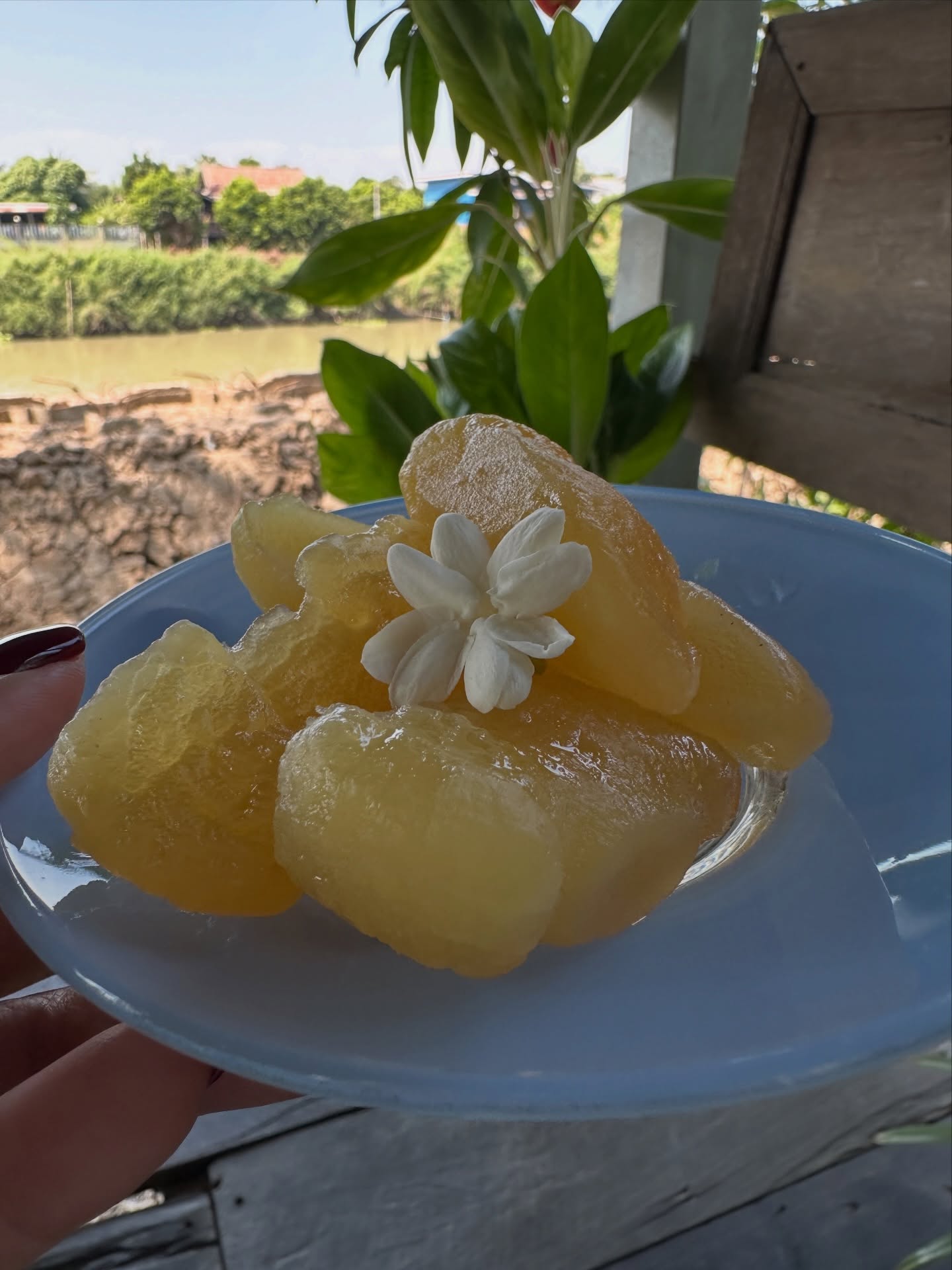 โอปอล์ - ปาณิสรา อารยะสกุล