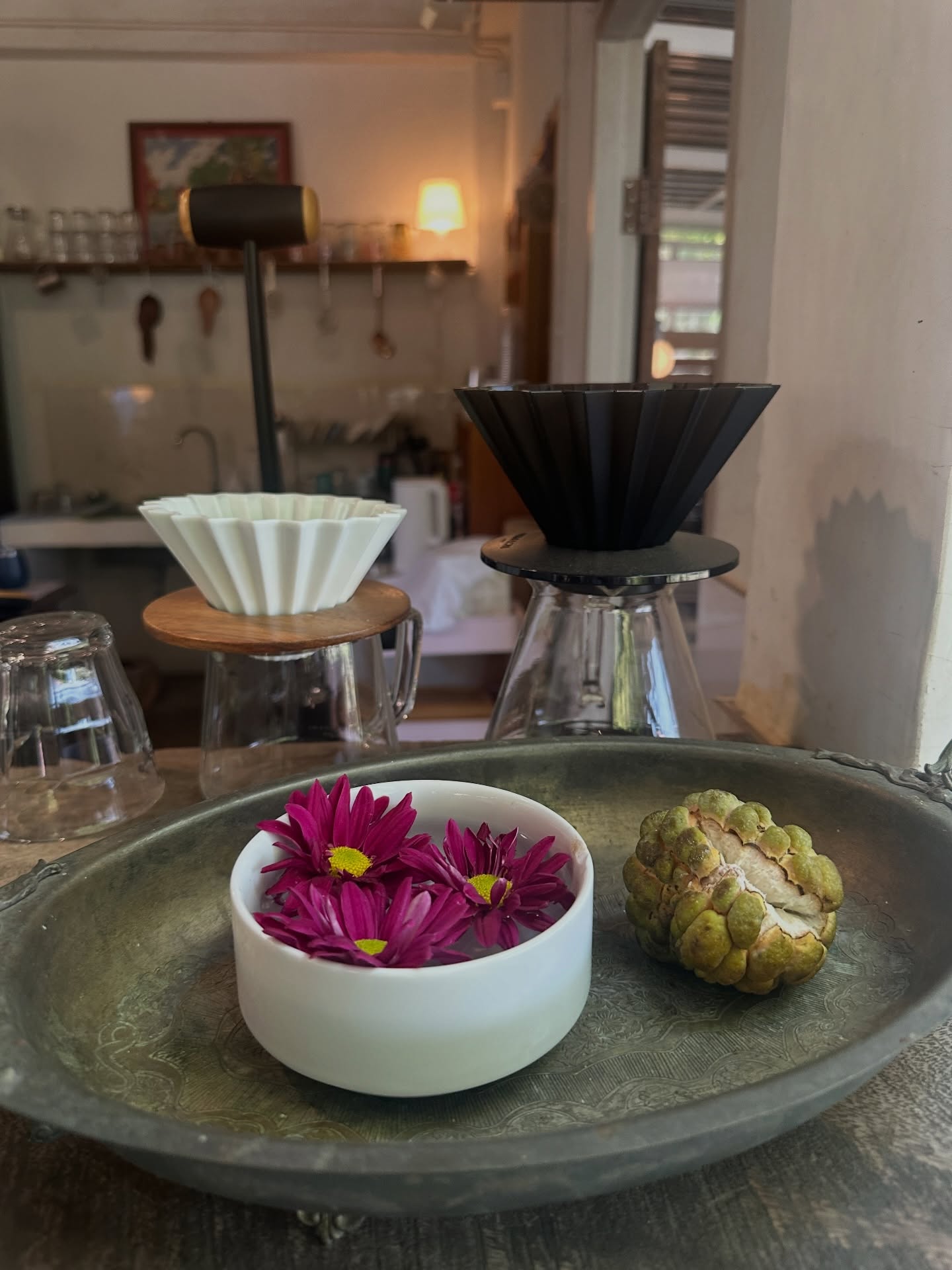 โอปอล์ - ปาณิสรา อารยะสกุล