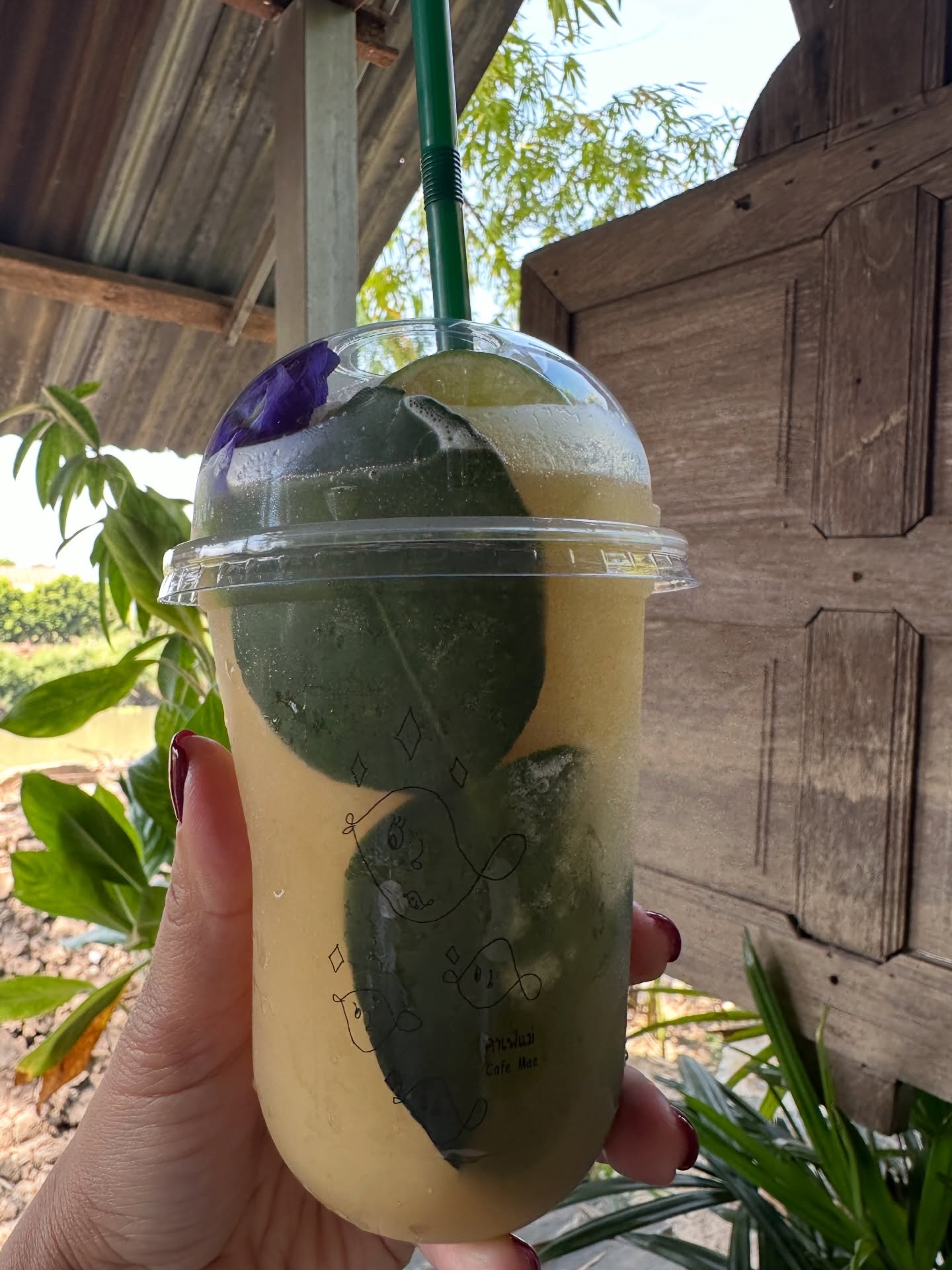 โอปอล์ - ปาณิสรา อารยะสกุล