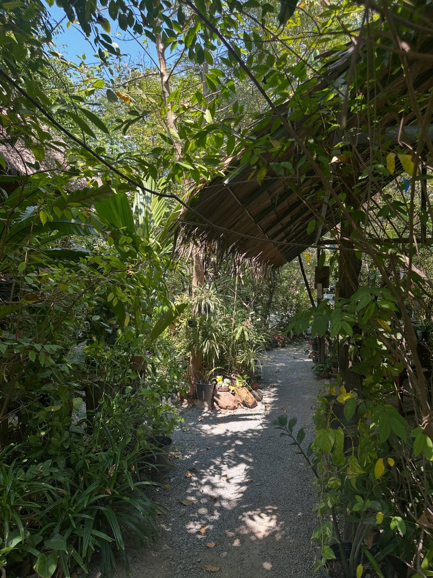 โอปอล์ - ปาณิสรา อารยะสกุล