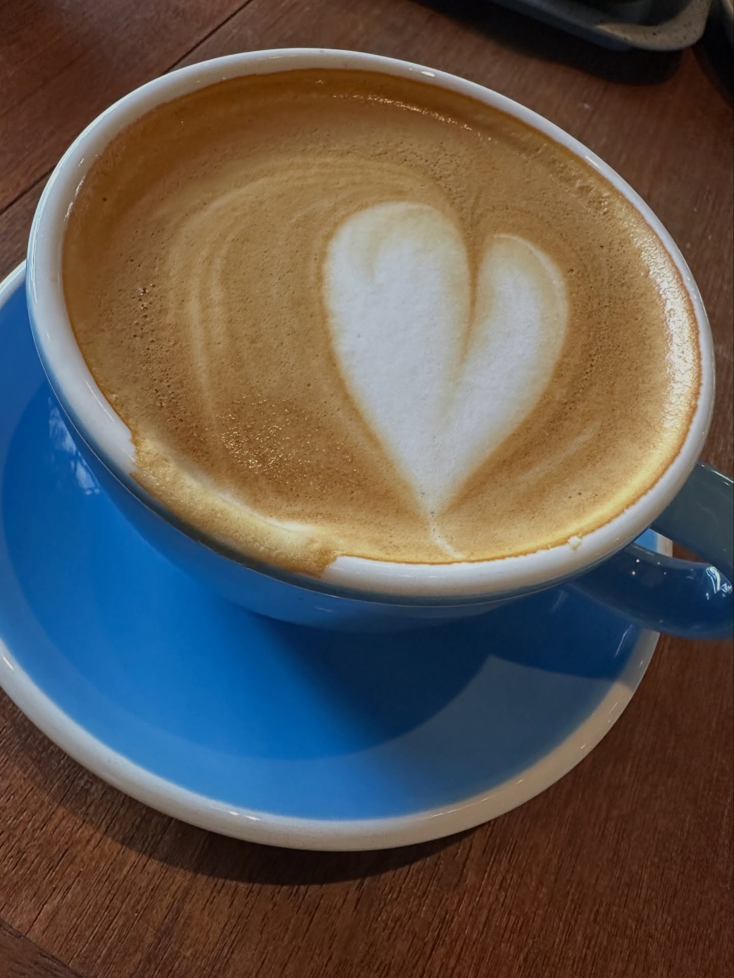 โอปอล์ - ปาณิสรา อารยะสกุล