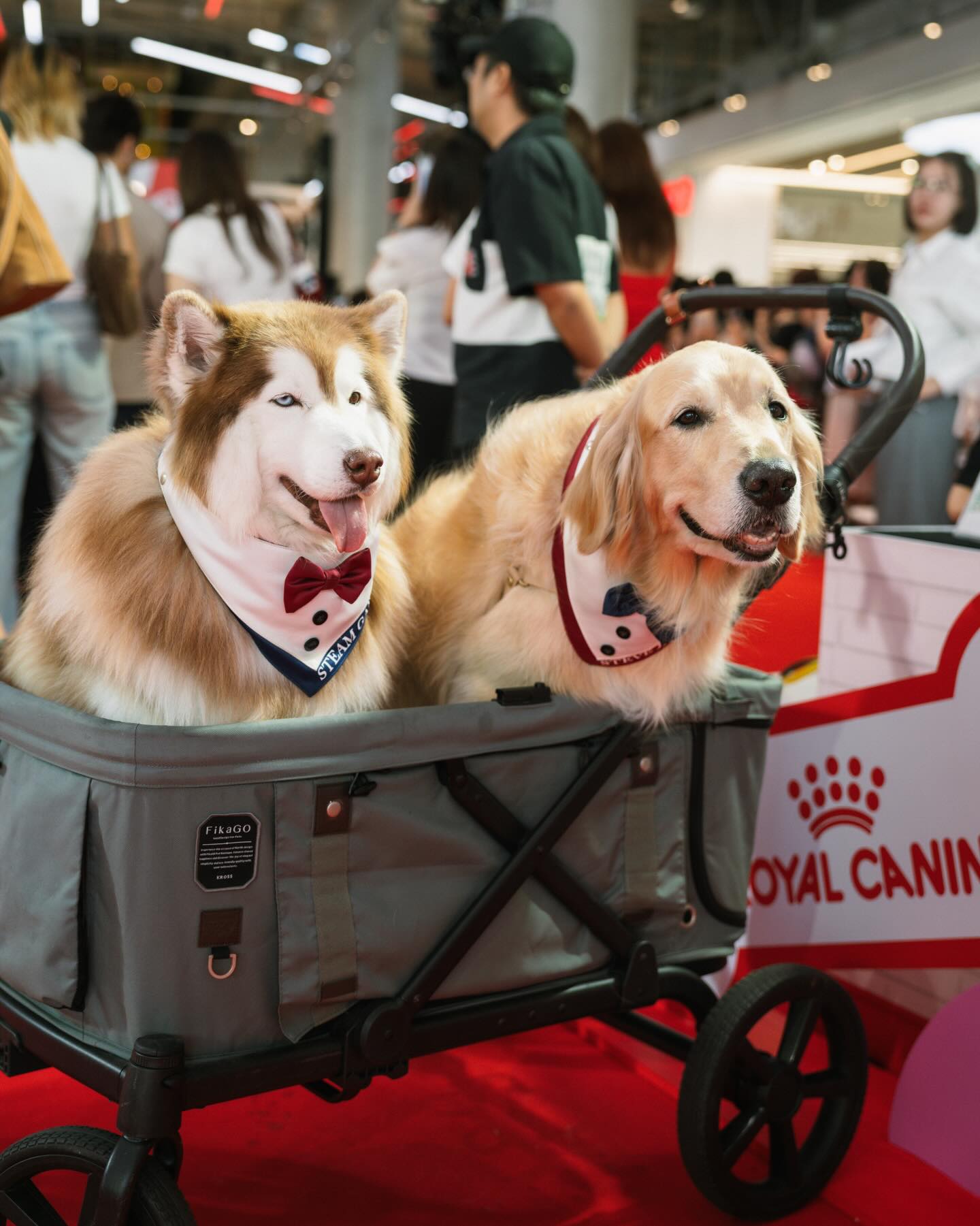 โอปอล์ - ปาณิสรา อารยะสกุล