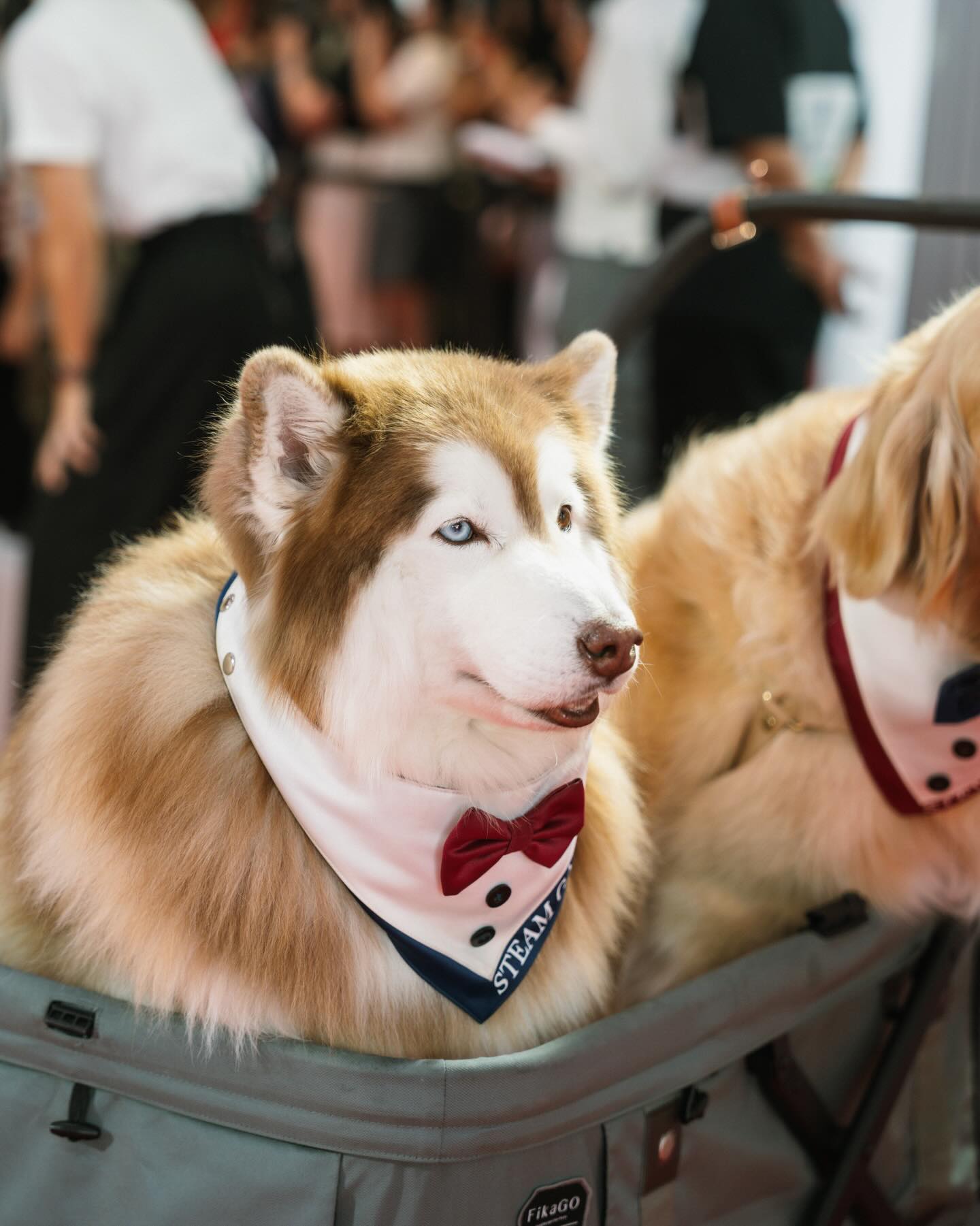 โอปอล์ - ปาณิสรา อารยะสกุล