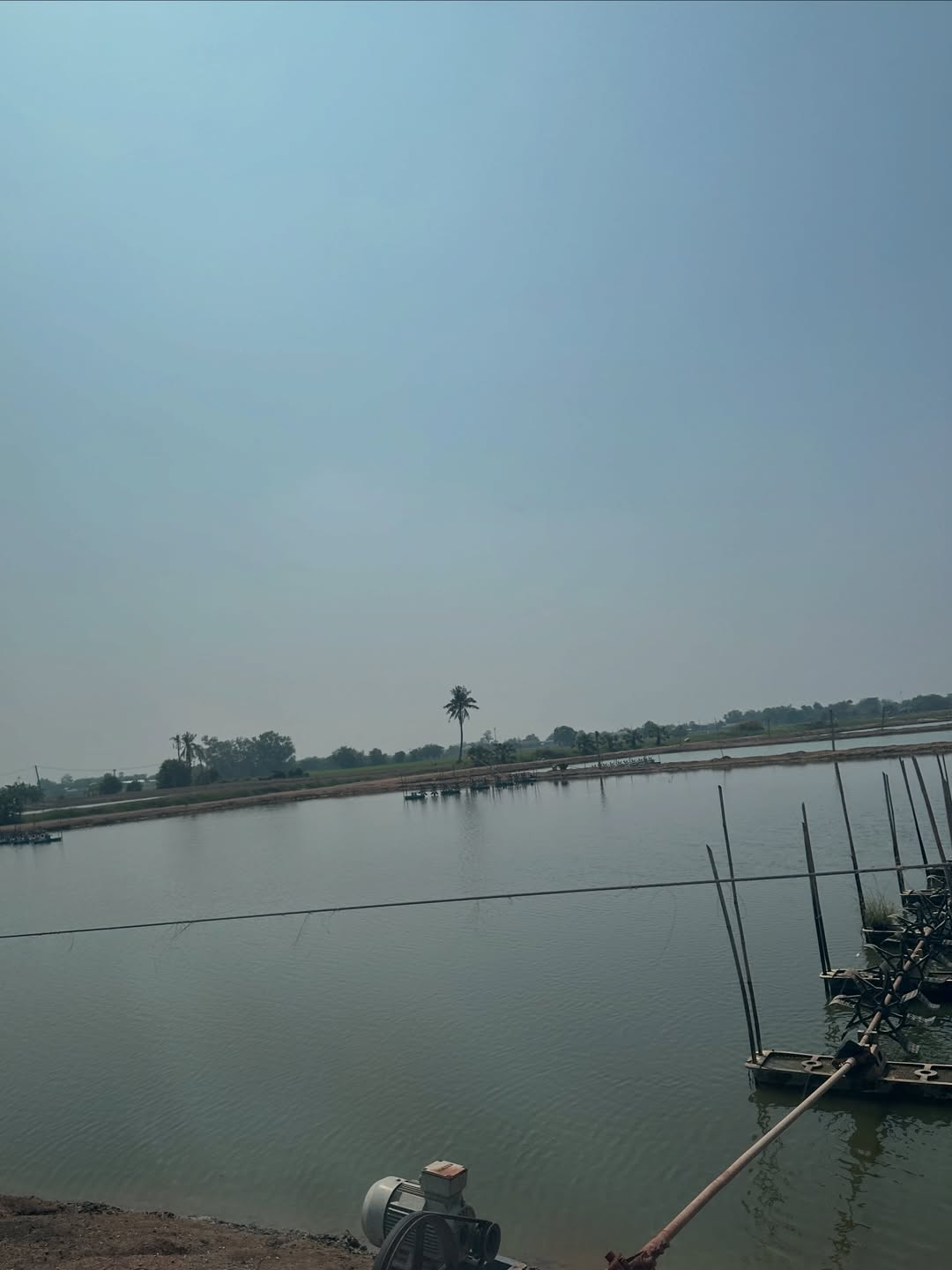 โอปอล์ - ปาณิสรา อารยะสกุล