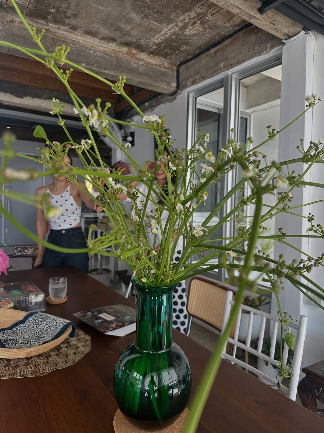 โอปอล์ - ปาณิสรา อารยะสกุล