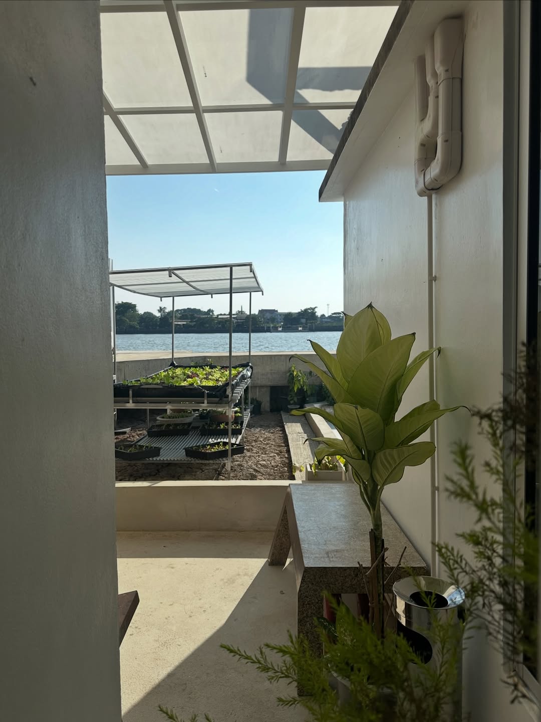 โอปอล์ - ปาณิสรา อารยะสกุล