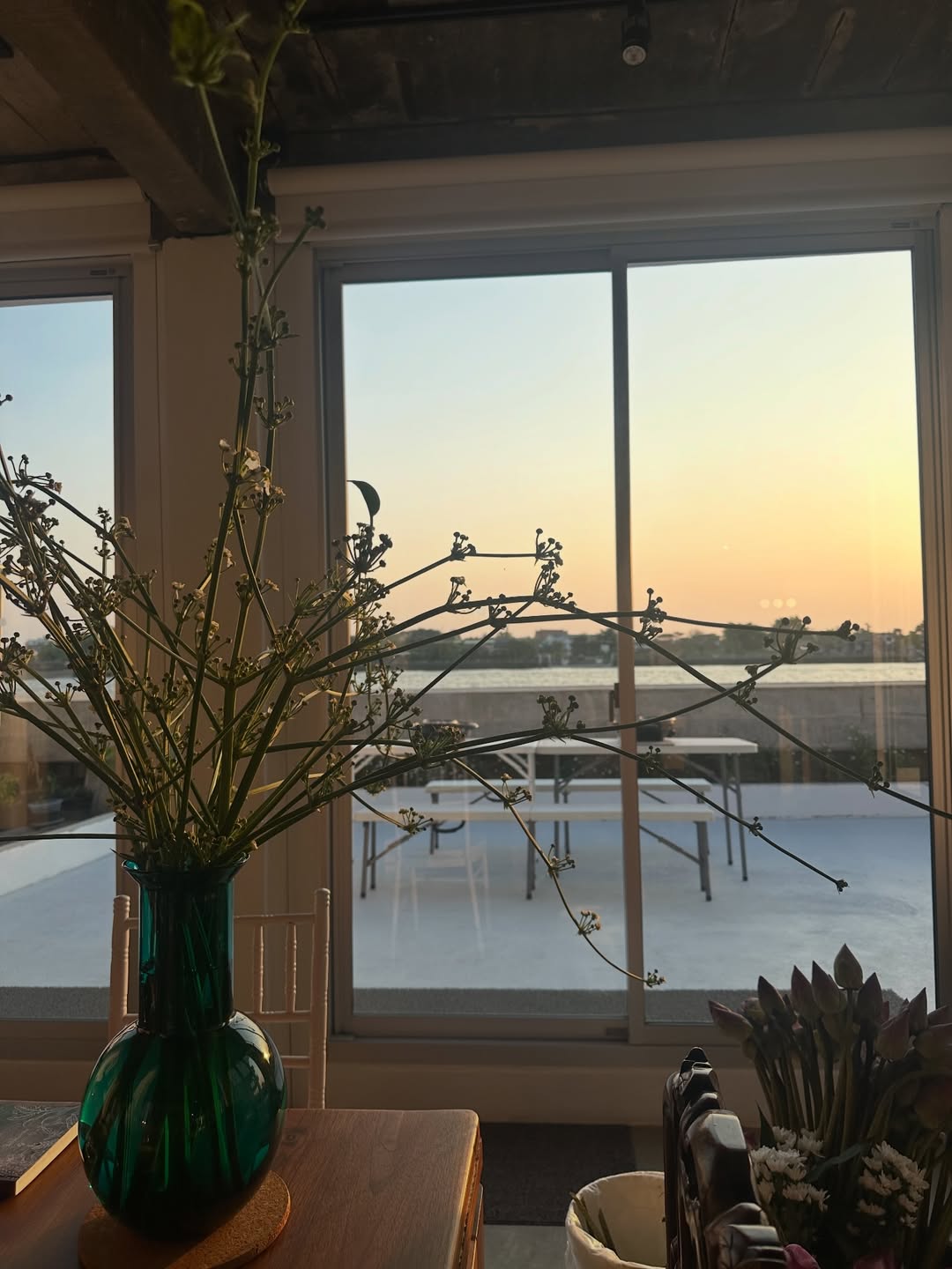 โอปอล์ - ปาณิสรา อารยะสกุล