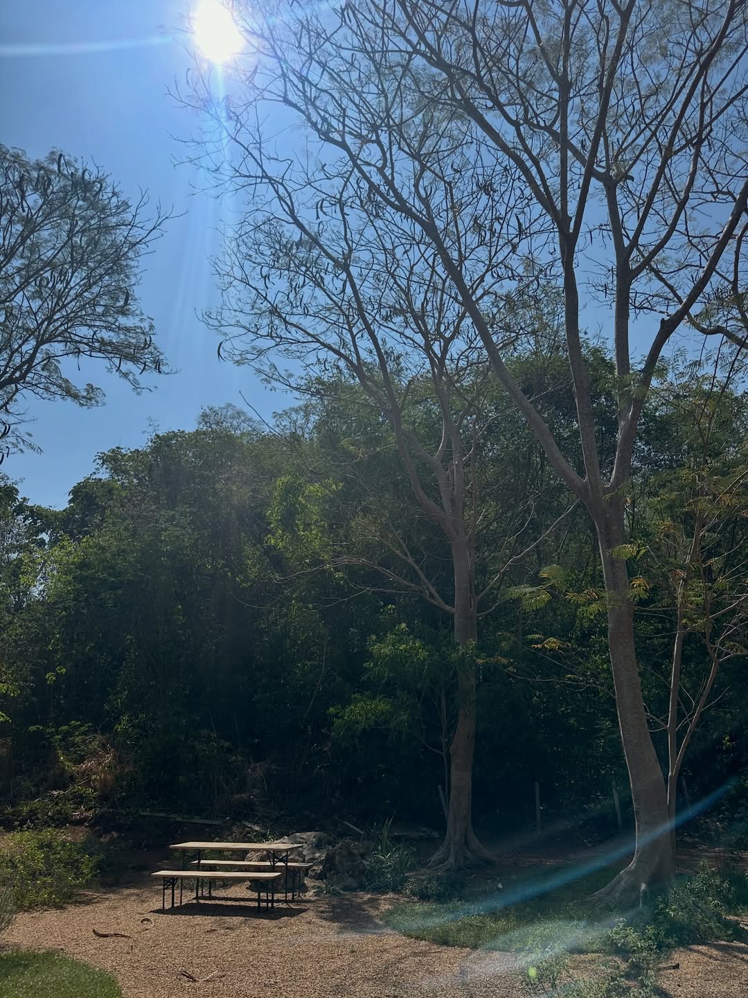 โอปอล์ - ปาณิสรา อารยะสกุล