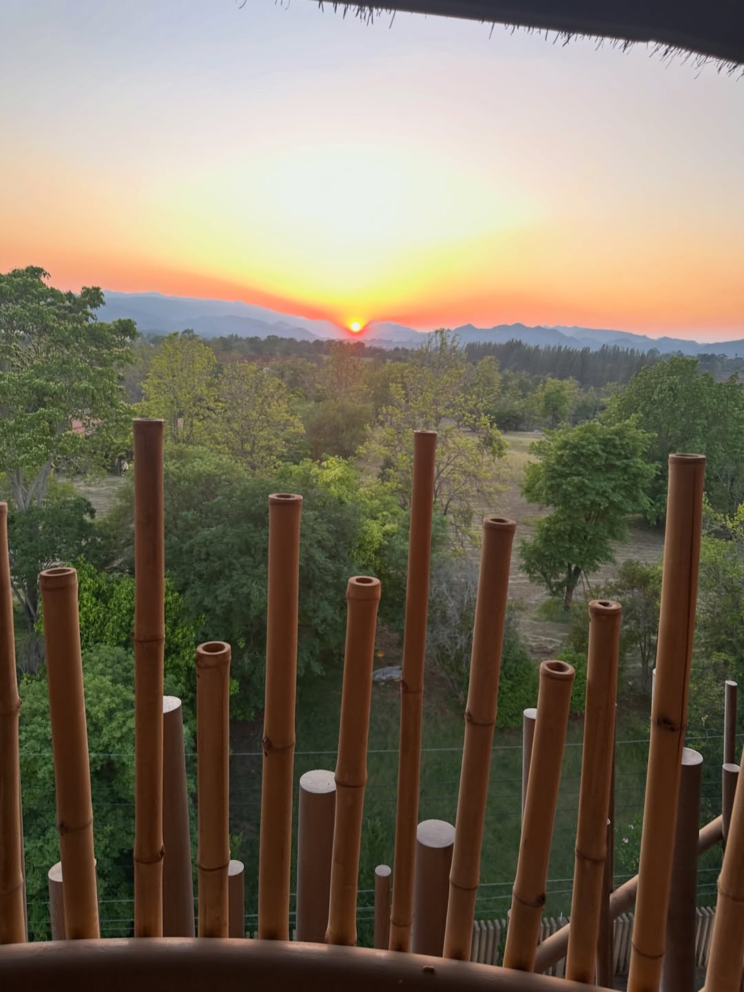 โอปอล์ - ปาณิสรา อารยะสกุล