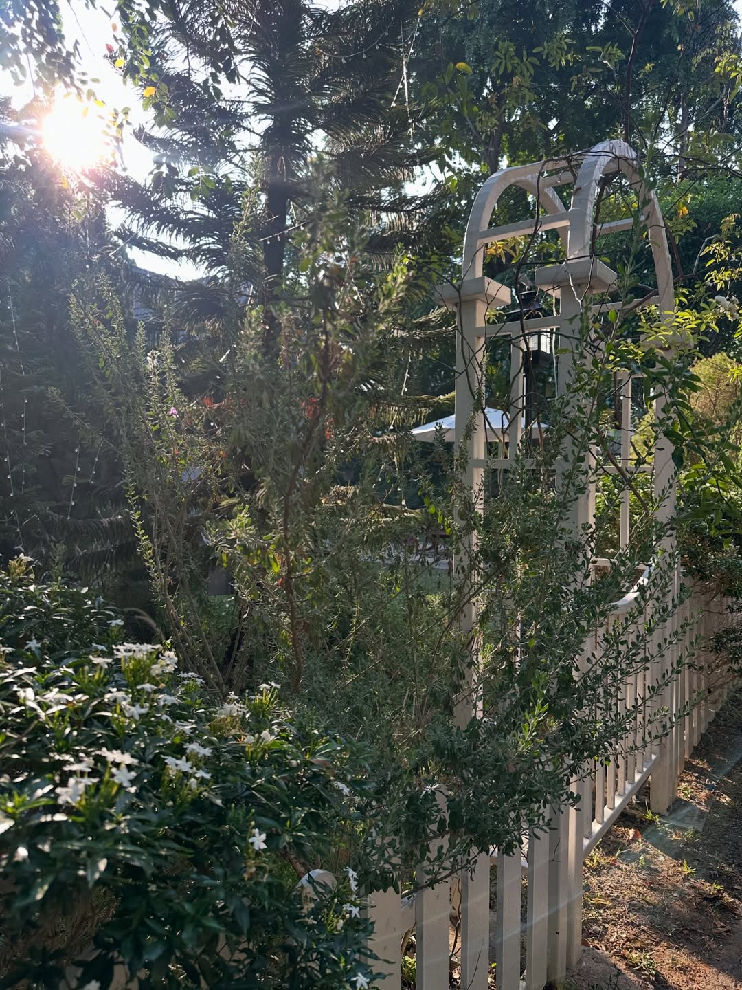 โอปอล์ - ปาณิสรา อารยะสกุล