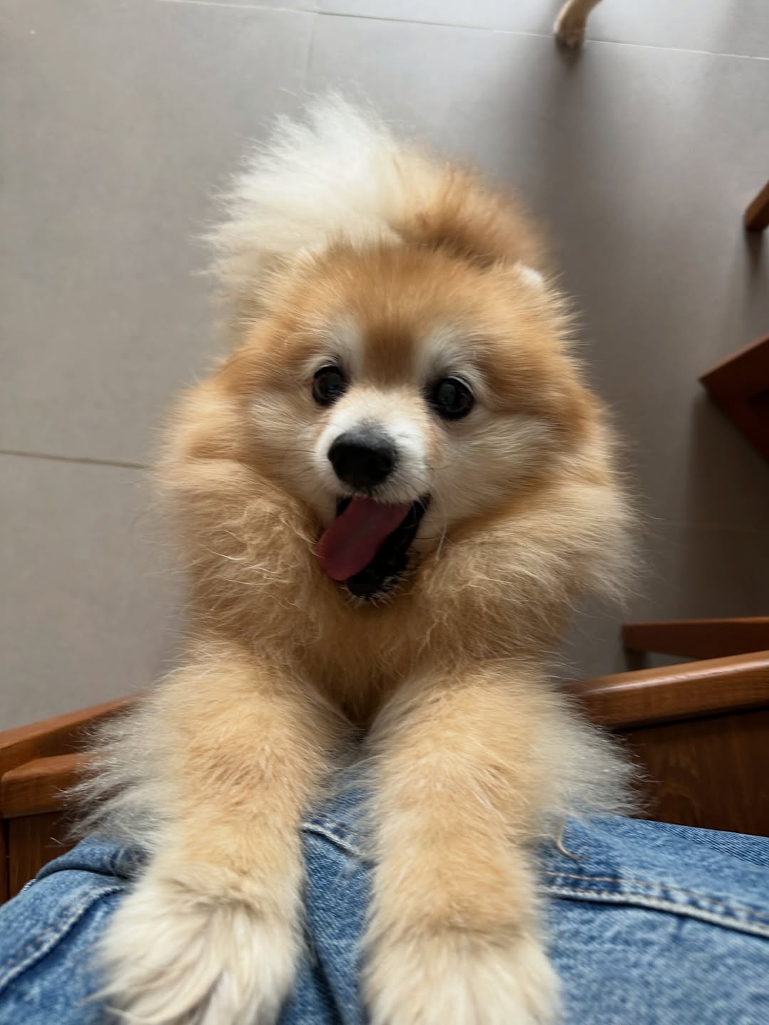 โอปอล์ - ปาณิสรา อารยะสกุล