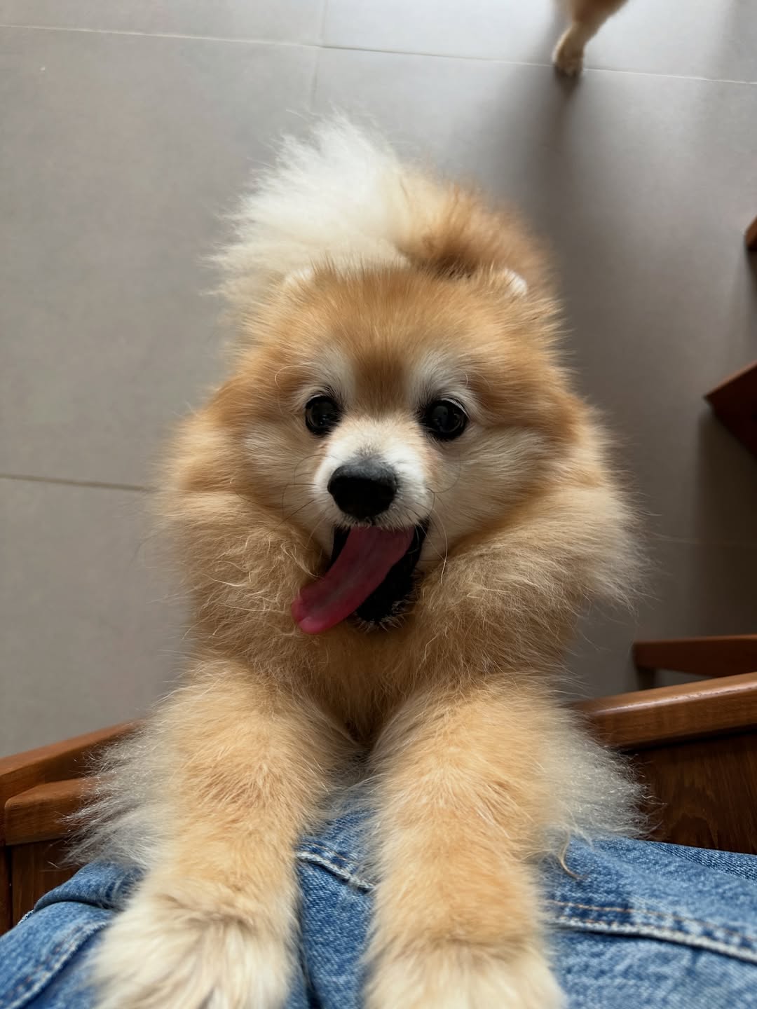 โอปอล์ - ปาณิสรา อารยะสกุล