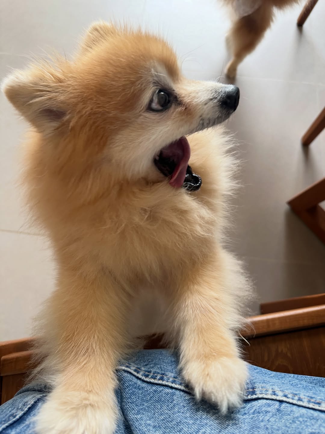 โอปอล์ - ปาณิสรา อารยะสกุล