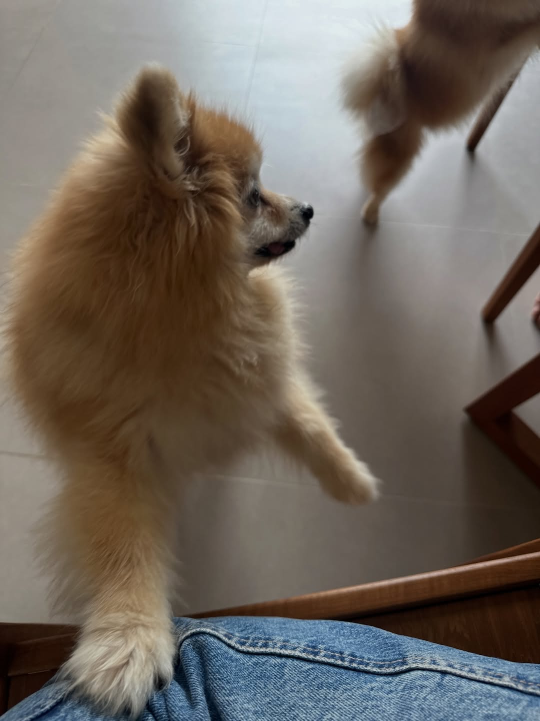 โอปอล์ - ปาณิสรา อารยะสกุล