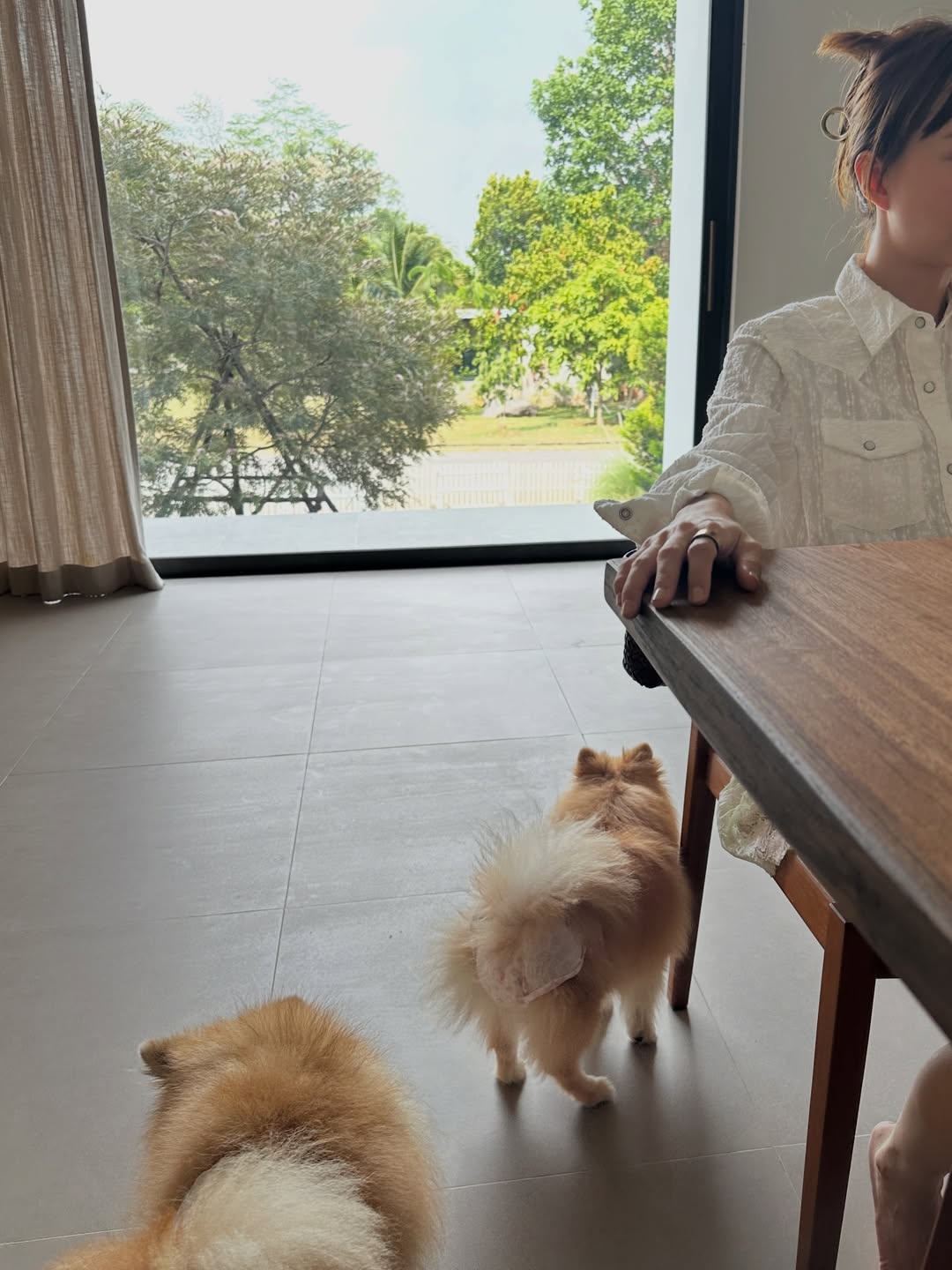 โอปอล์ - ปาณิสรา อารยะสกุล