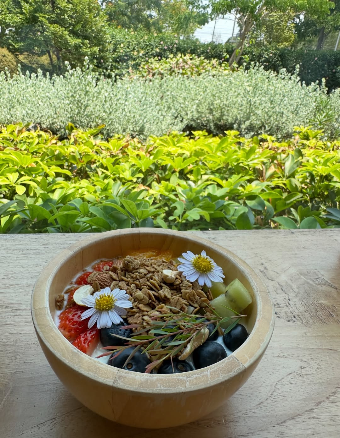 โอปอล์ - ปาณิสรา อารยะสกุล