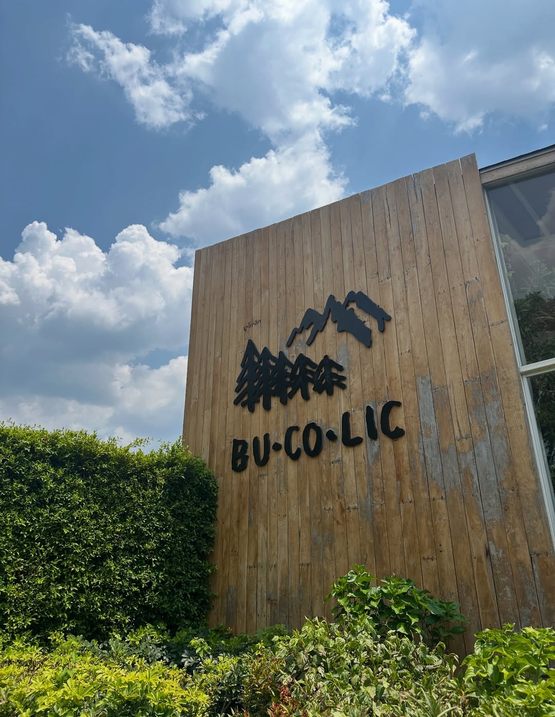 โอปอล์ - ปาณิสรา อารยะสกุล