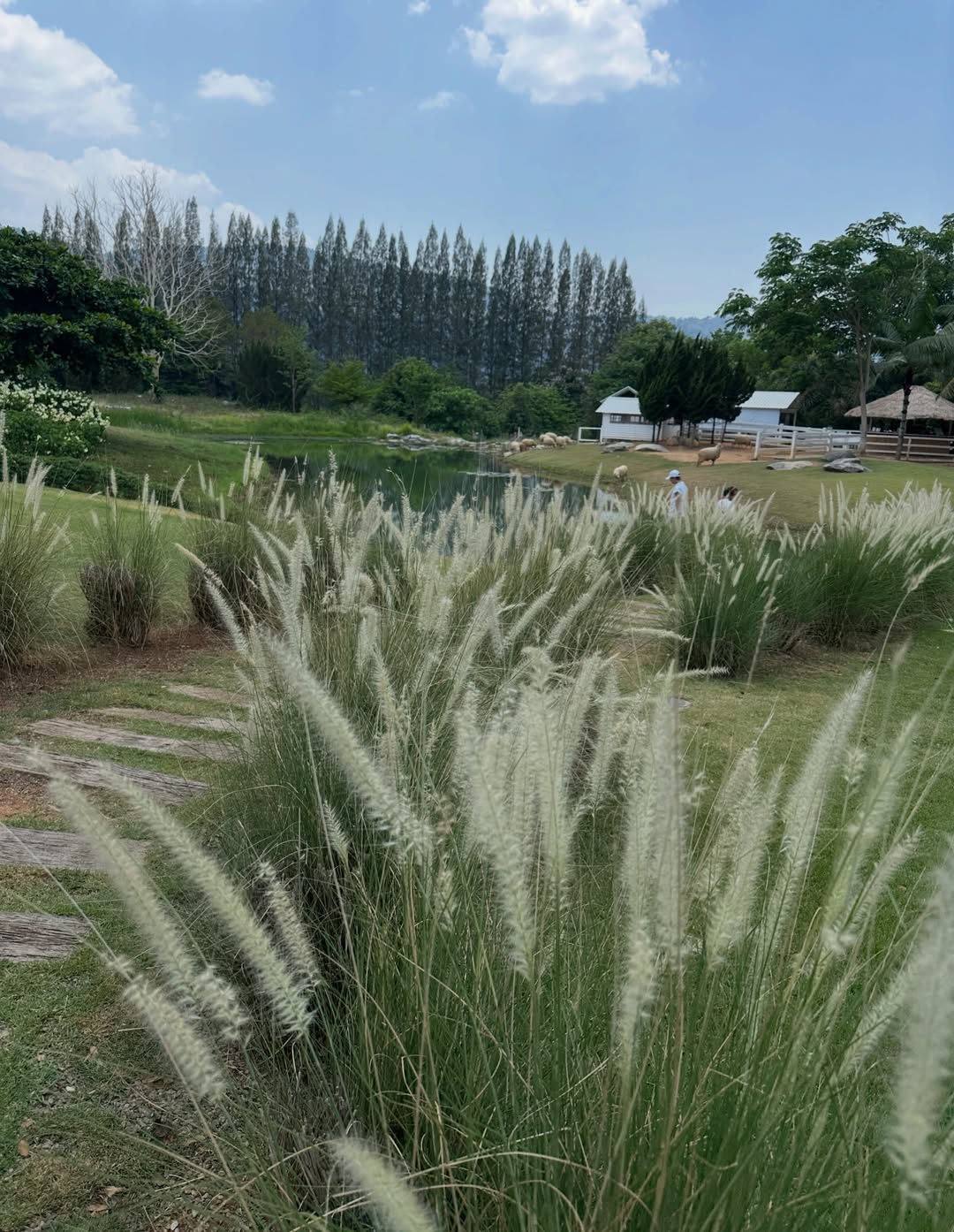 โอปอล์ - ปาณิสรา อารยะสกุล