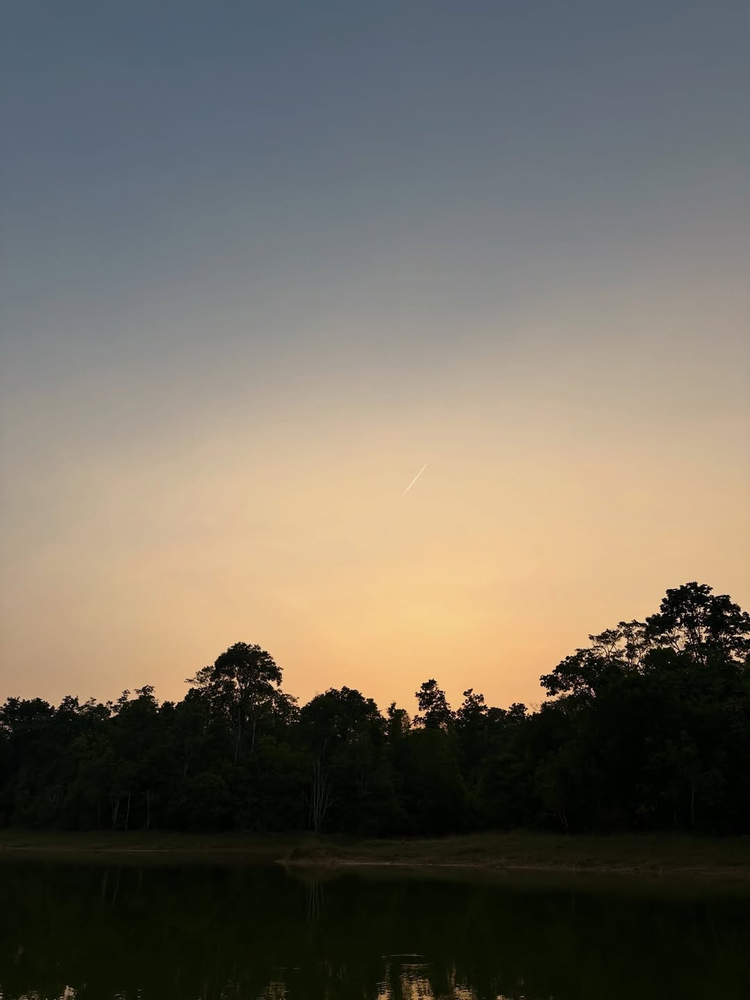 โอปอล์ - ปาณิสรา อารยะสกุล