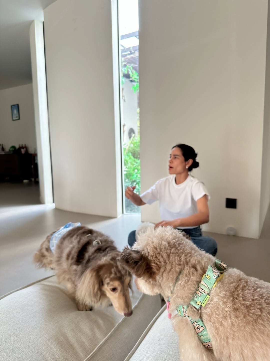 โอปอล์ - ปาณิสรา อารยะสกุล