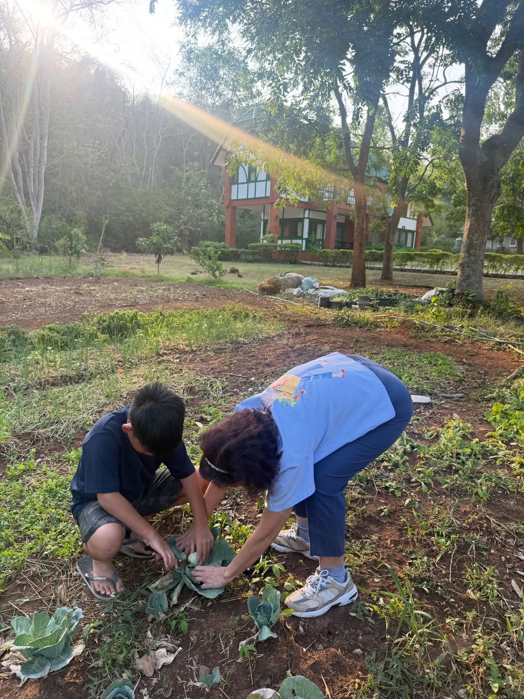 โอปอล์ - ปาณิสรา อารยะสกุล