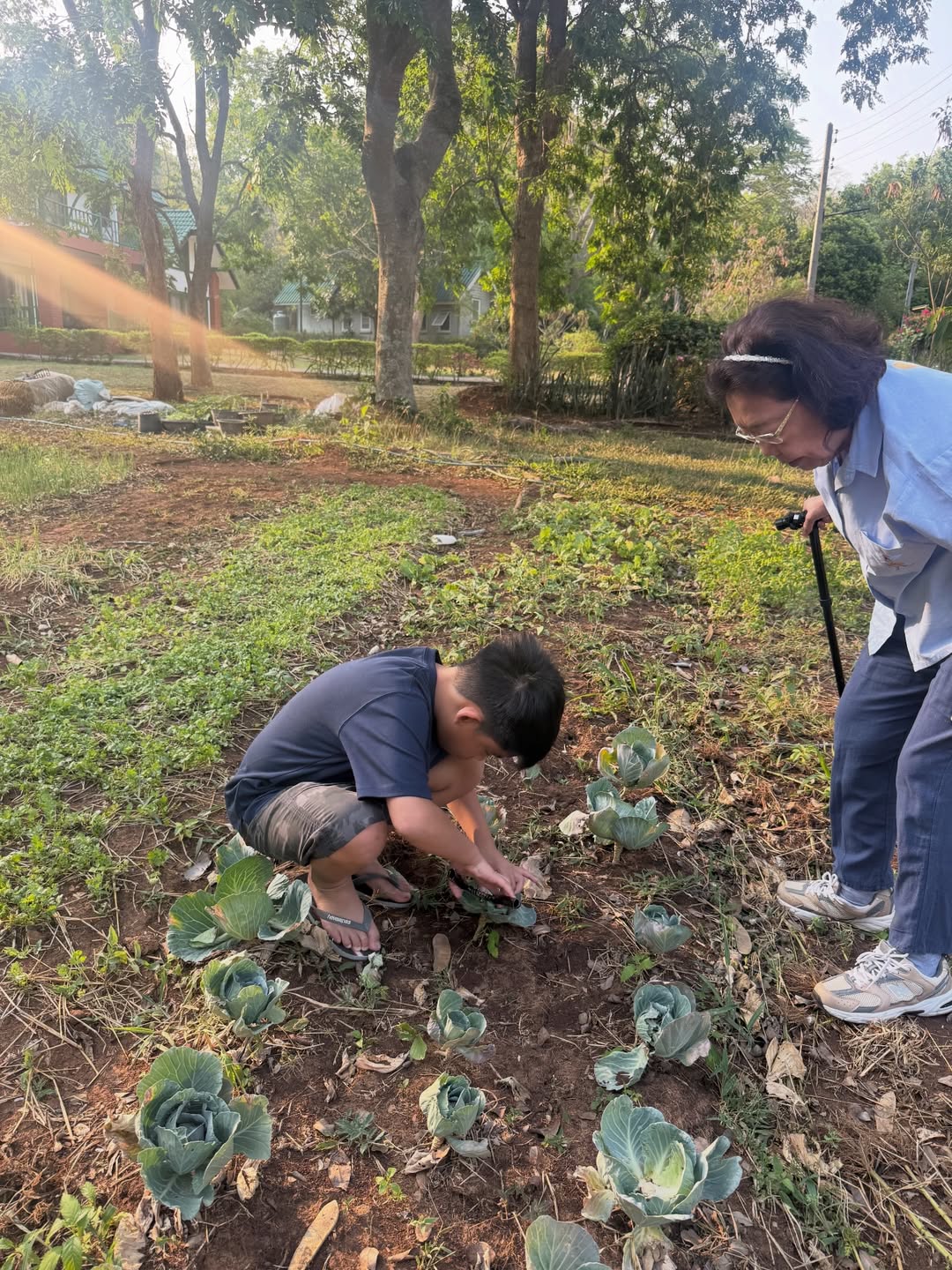 โอปอล์ - ปาณิสรา อารยะสกุล