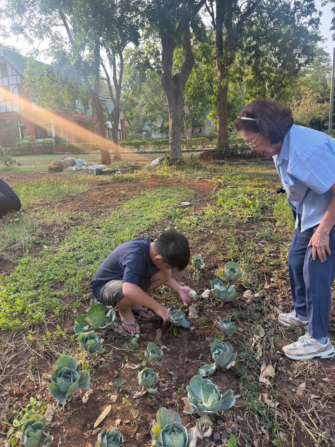 โอปอล์ - ปาณิสรา อารยะสกุล