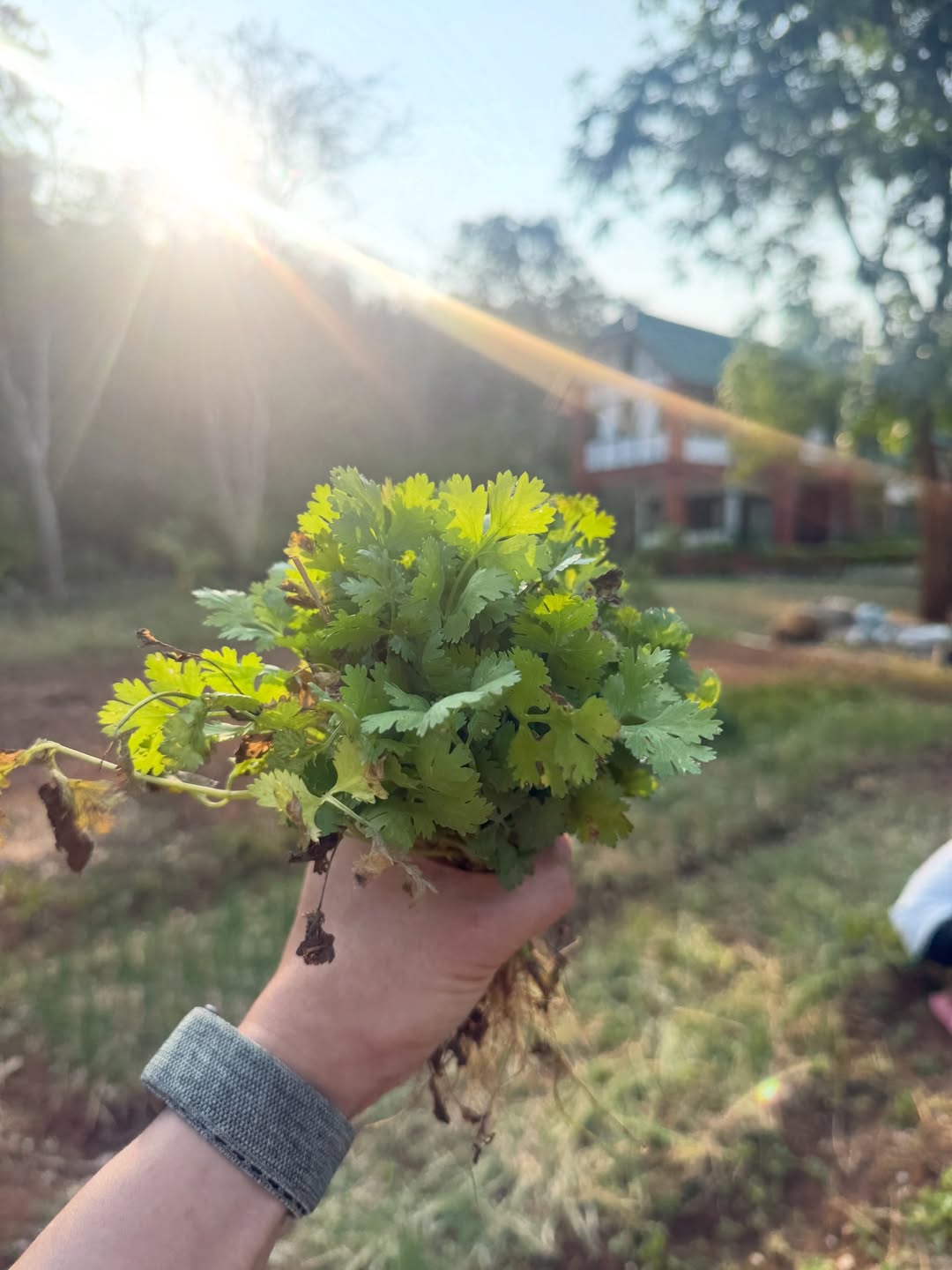 โอปอล์ - ปาณิสรา อารยะสกุล