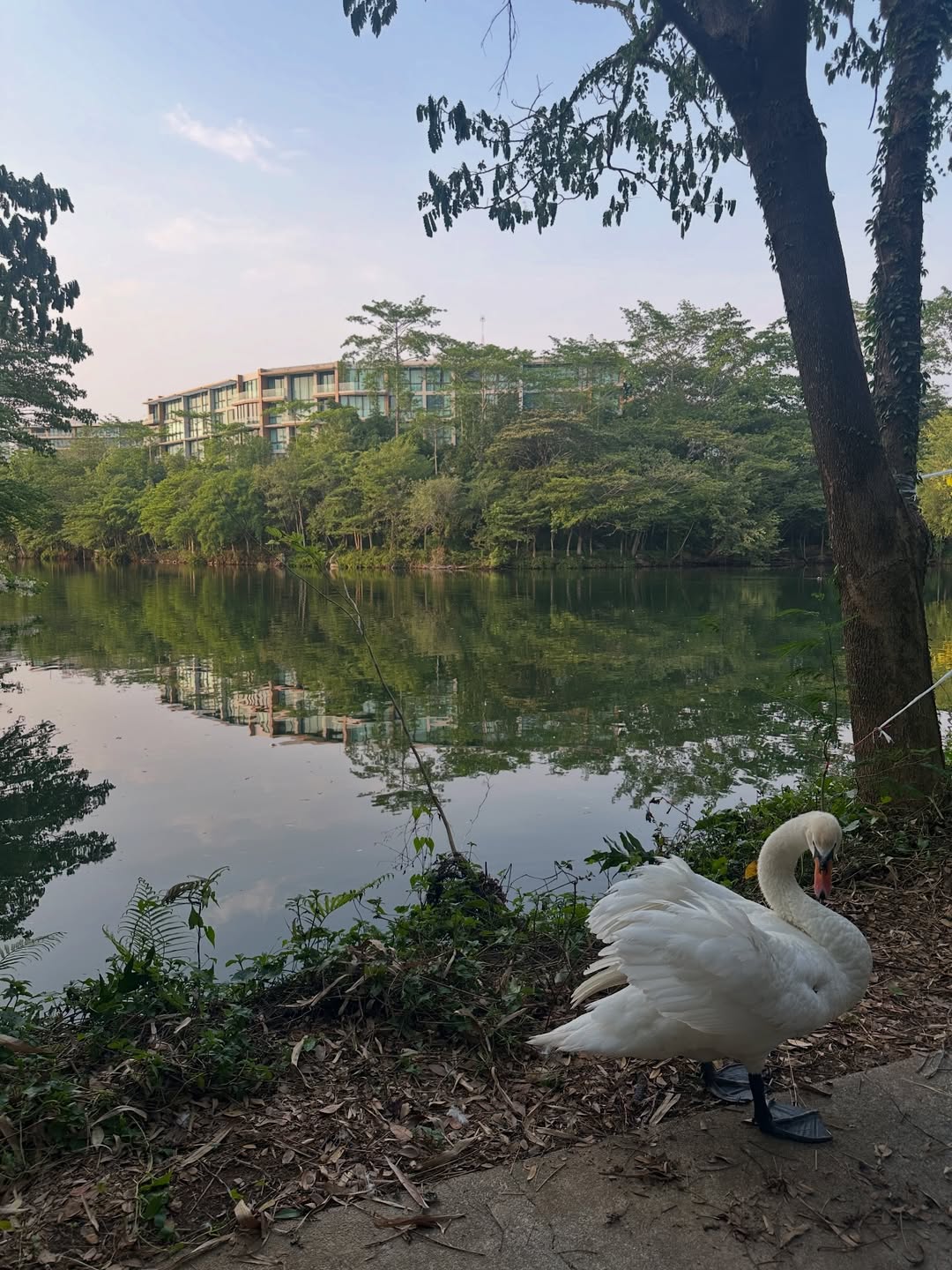 โอปอล์ - ปาณิสรา อารยะสกุล